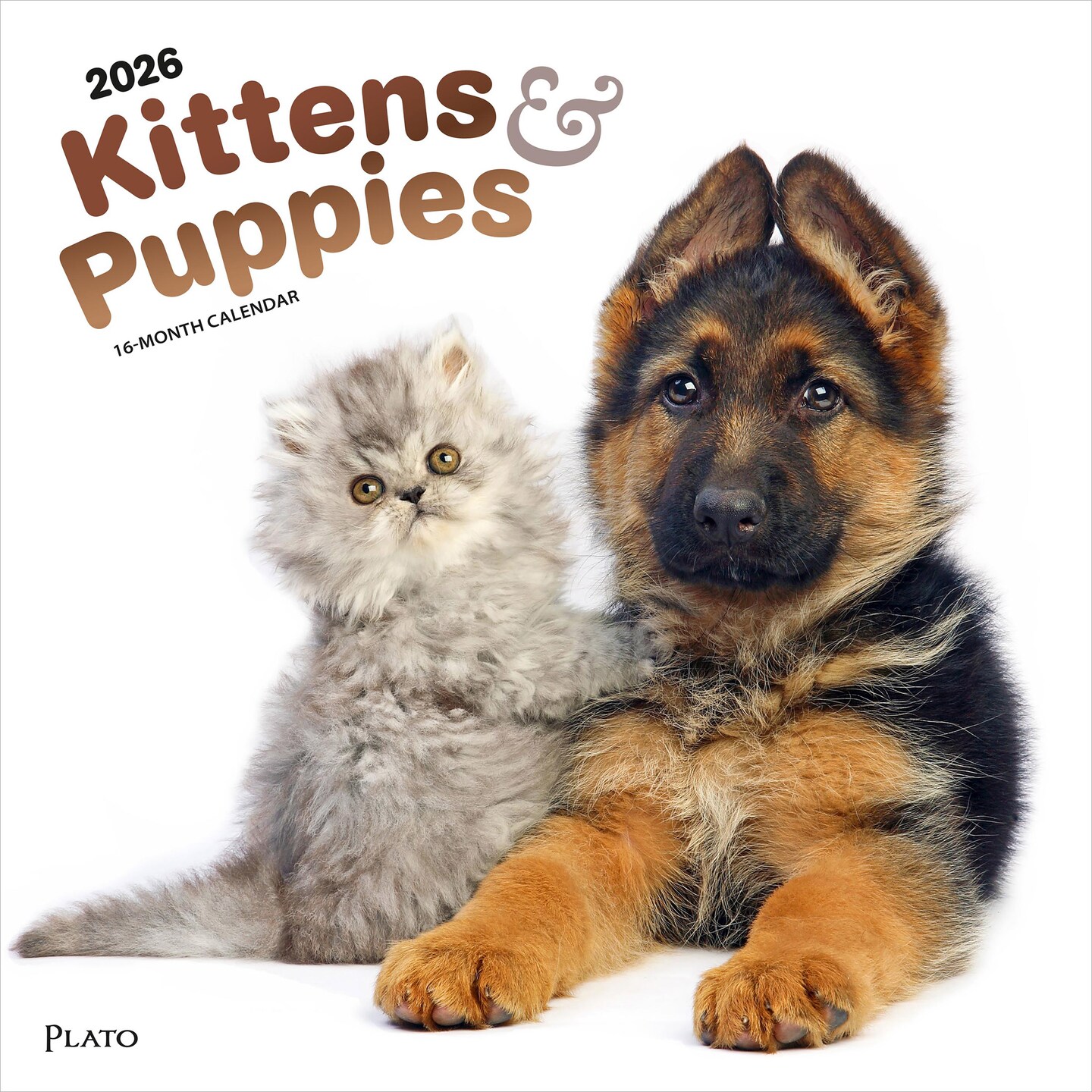 Kittens &#x26; Puppies | 2026 12 x 24 Inch (Hanging) Monthly Square Wall Calendar | Foil Stamped Cover