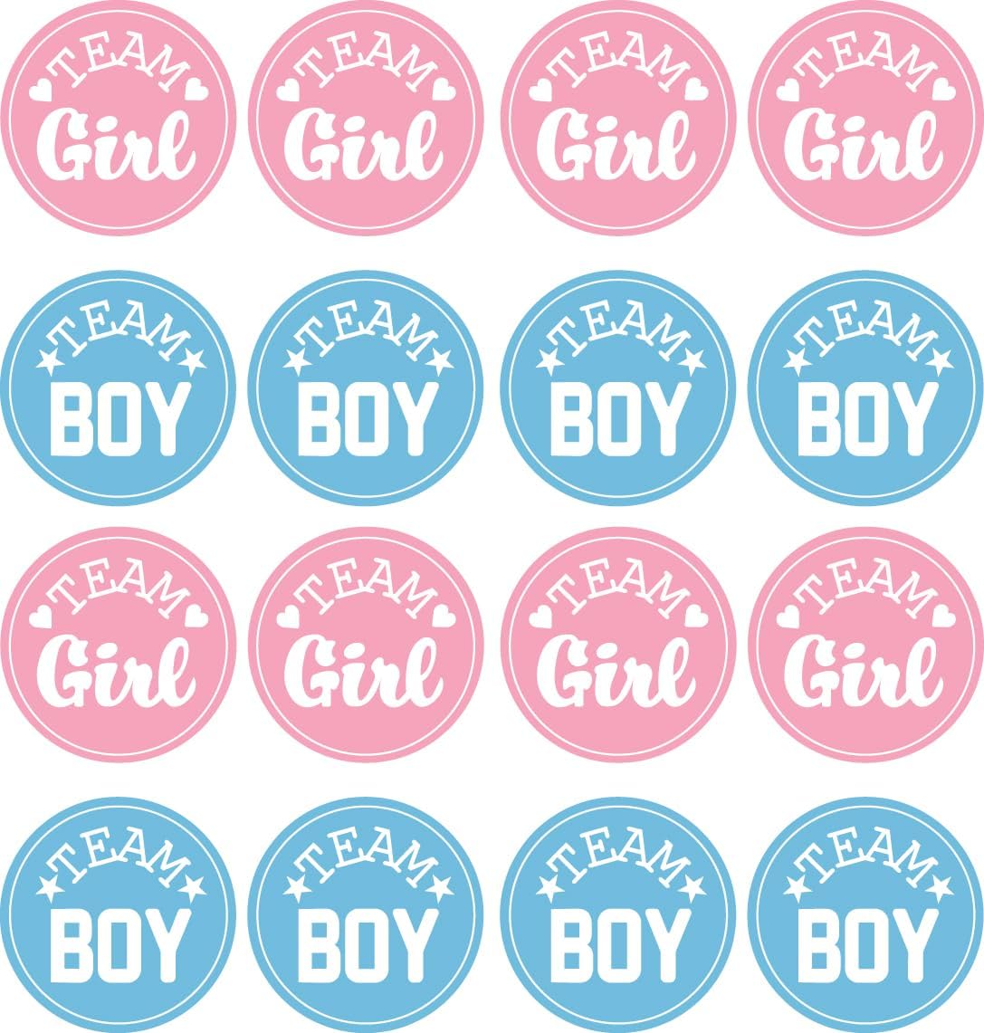 Pink and Blue Gender Reveal Party Stickers - 100 Count, Team Boy and Team Girl Voting Labels for Baby Shower and Gender Reveal Decorations