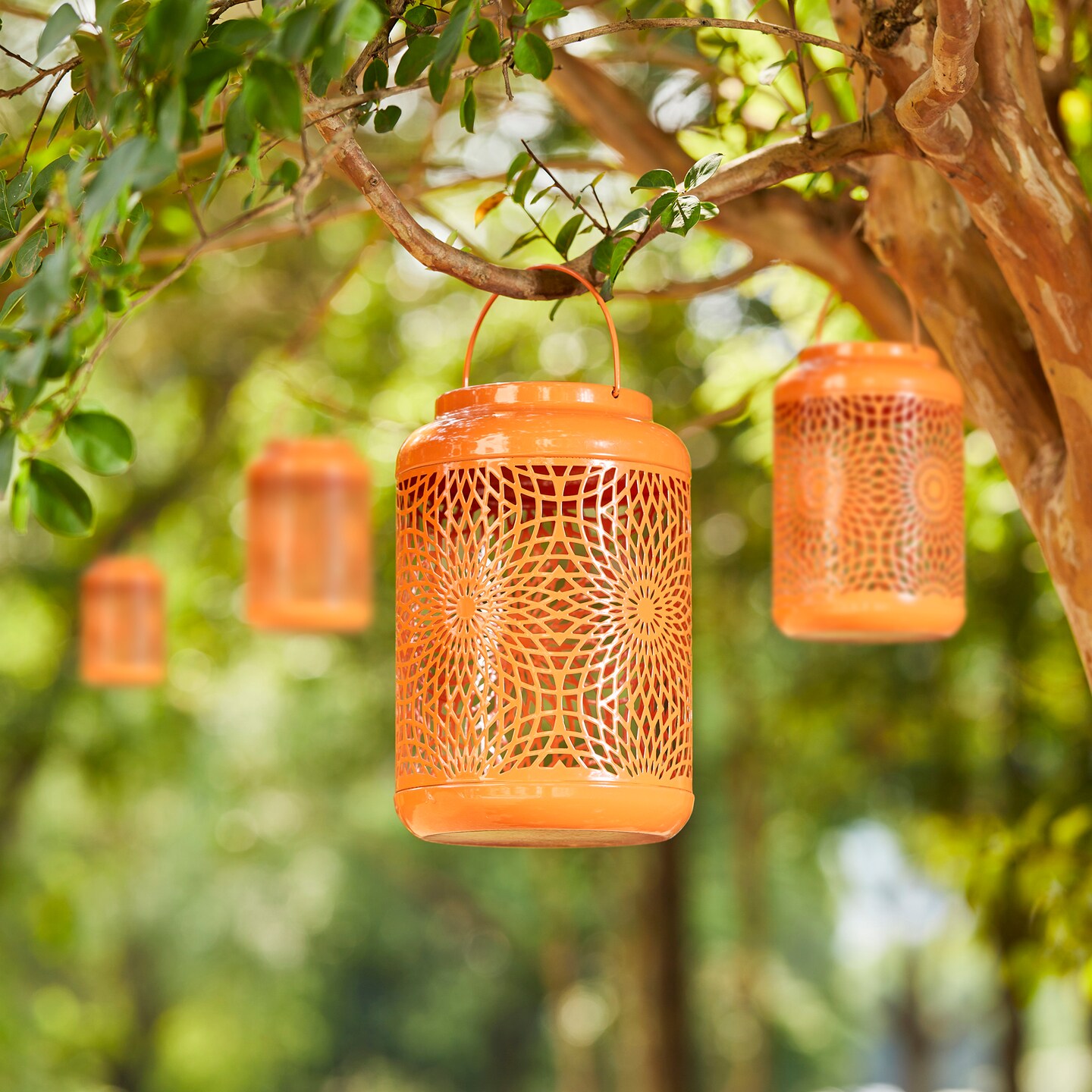 Set of 2/4 8.75&#x22;H Metal Cutout Scrollwork Solar Powered LED Outdoor Lantern with handle
