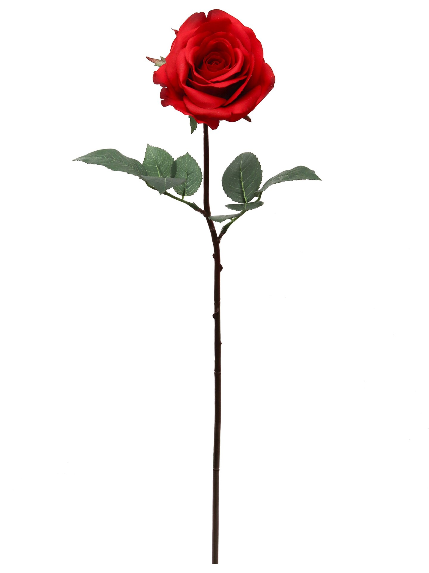 2PC 27” Real Touch Red Rose – 4” Bloom, Lifelike Artificial Flower for Wedding & Decor