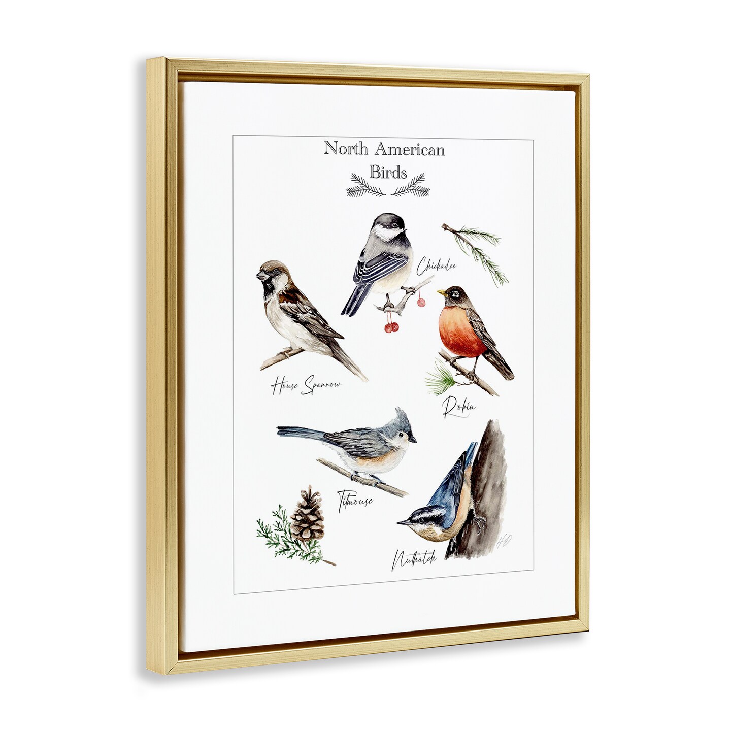 Stupell Industries North American Birds Chart Floating Frame By Heather Desormeaux