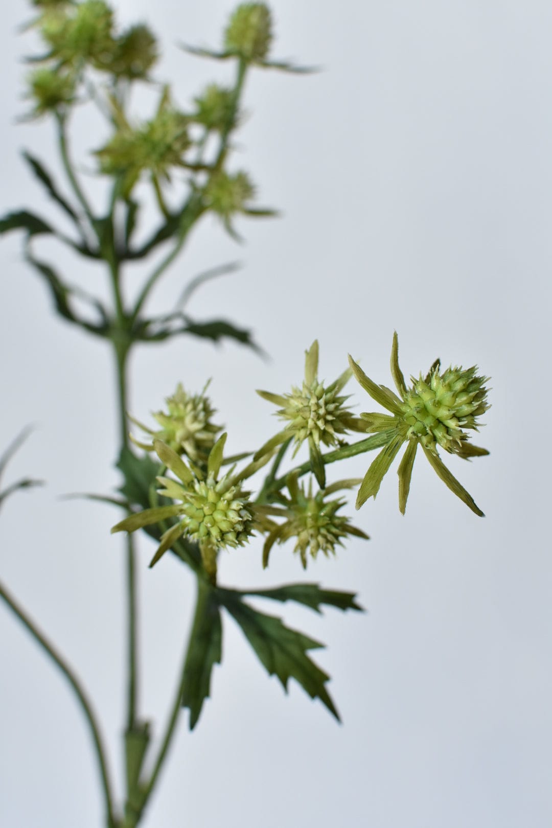 25&#x22; Faux Thistle Stem - Green