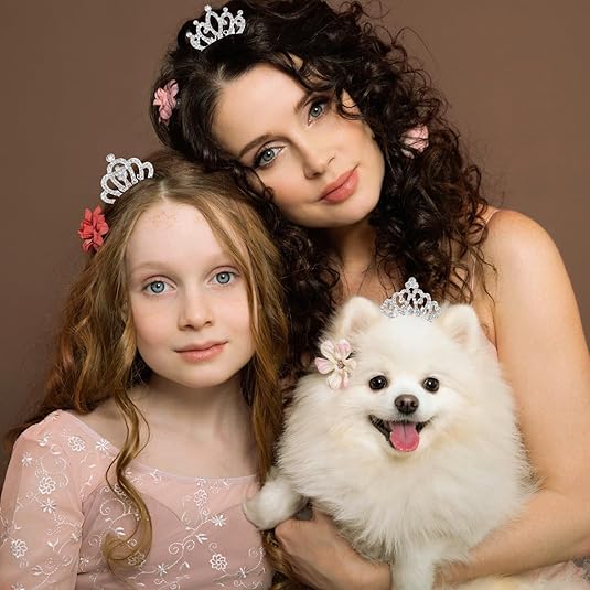 Small Tiara Mini Tiara Small Crown Tiara for Little Girls Mini Tiara Princess Crown with Face Glitter