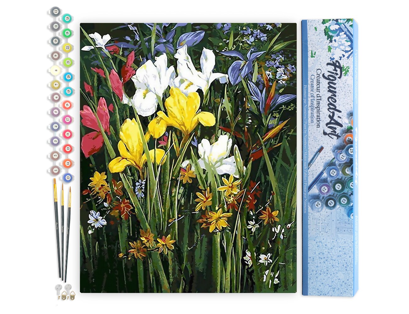 Figured'Art Paint by Numbers Kit for Adults Colorful field of Flowers ...