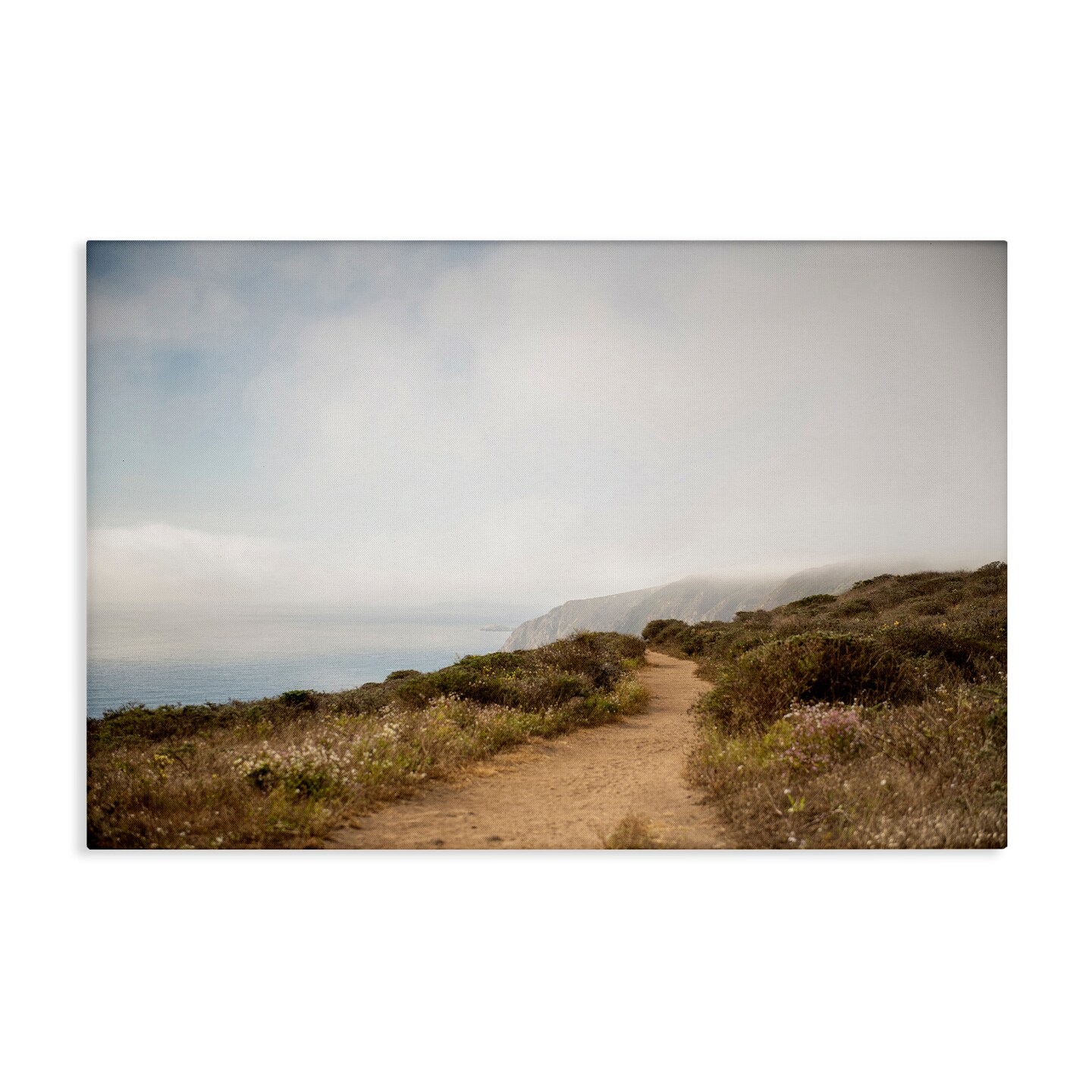Stupell Industries Wild Coast Pathway Canvas Wall Art Design by Crystal Lynn Collins