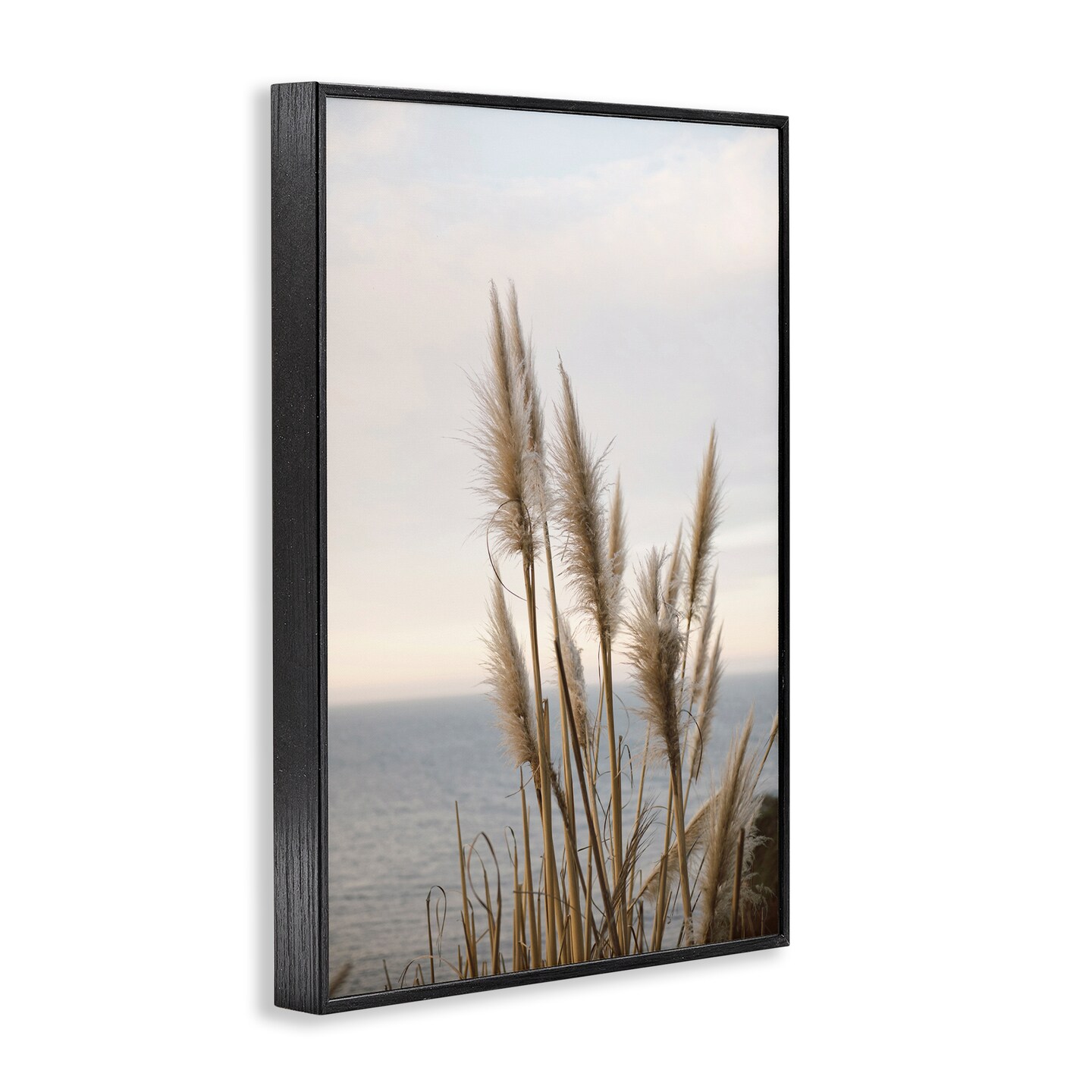 Stupell Industries Nautical Cove Grasses Framed Giclee Wall Art Design by Crystal Lynn Collins