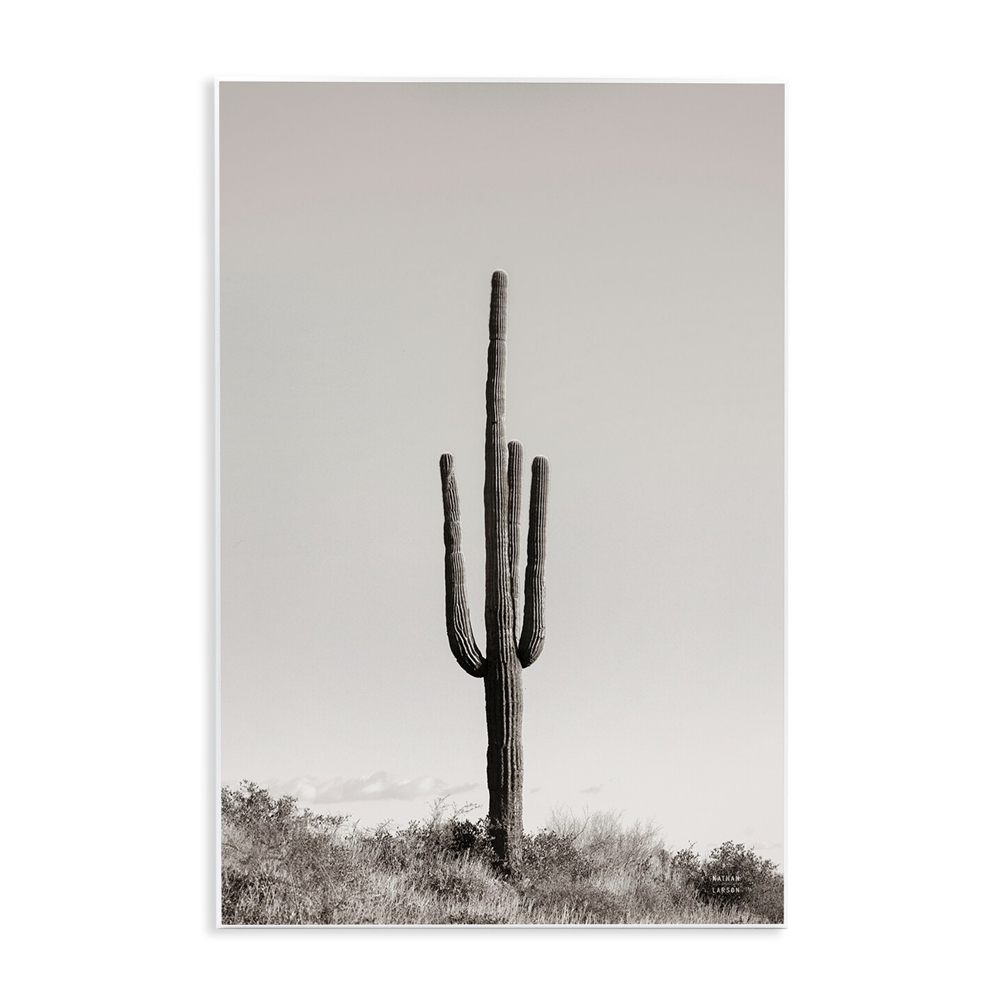 Stupell Industries Clear Afternoon Cactus Wall Plaque Art Design by Nathan Larson