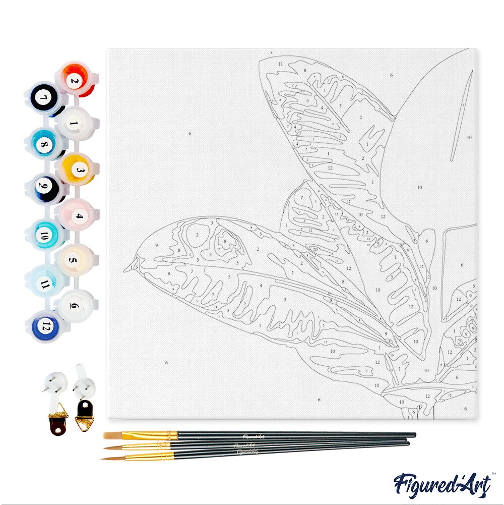 Figured&#x27;Art Mini Paint by Numbers Kit for Adults with Frame Rubber Plant Leaves Small format 8&#x22;x8&#x22; - Craft Art Painting DIY Canvas Already Stretched on a Wooden Frame