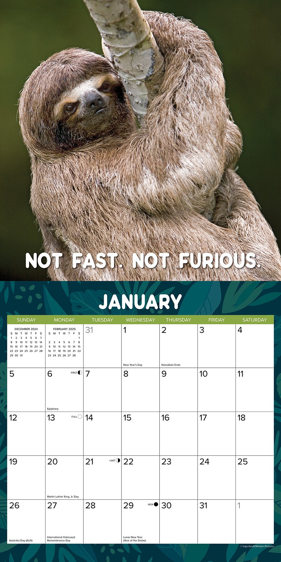 Sloth Mode 2025 Wall Calendar