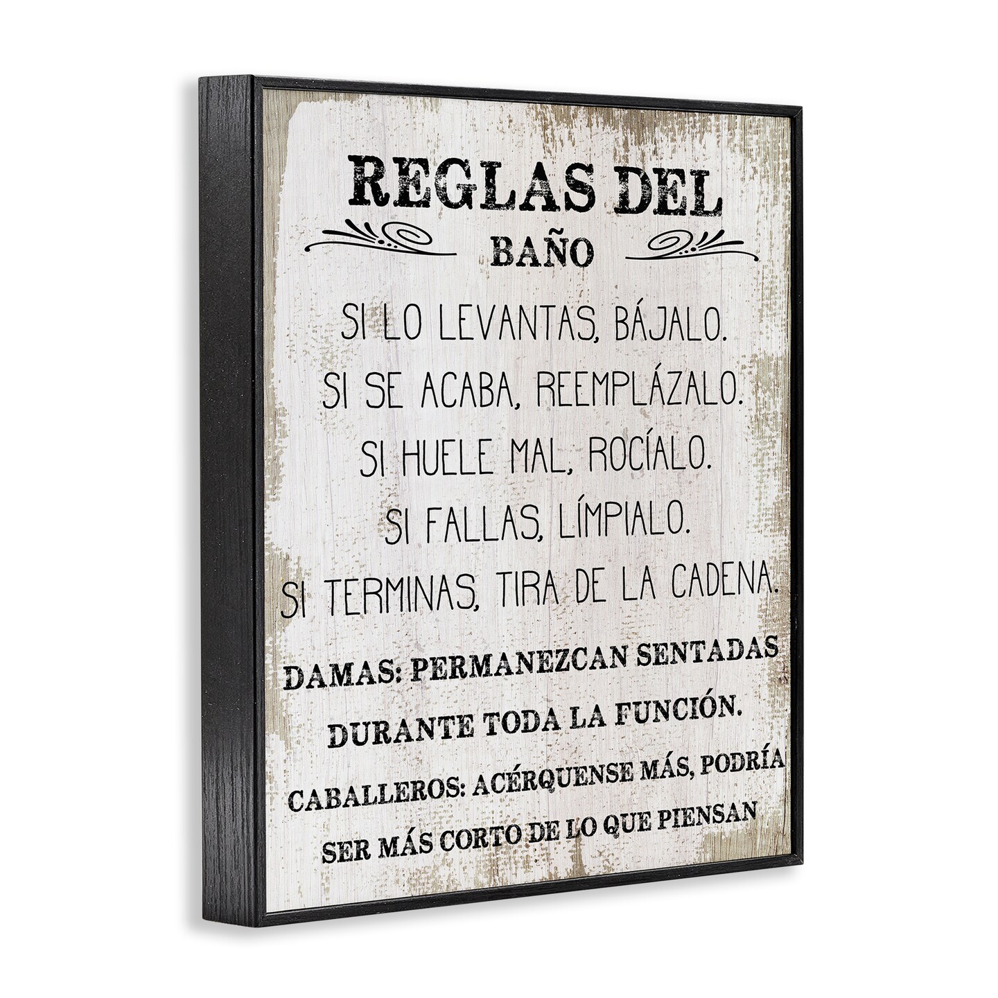 Stupell Industries Reglas Divertidas del Baño Framed Giclee Art