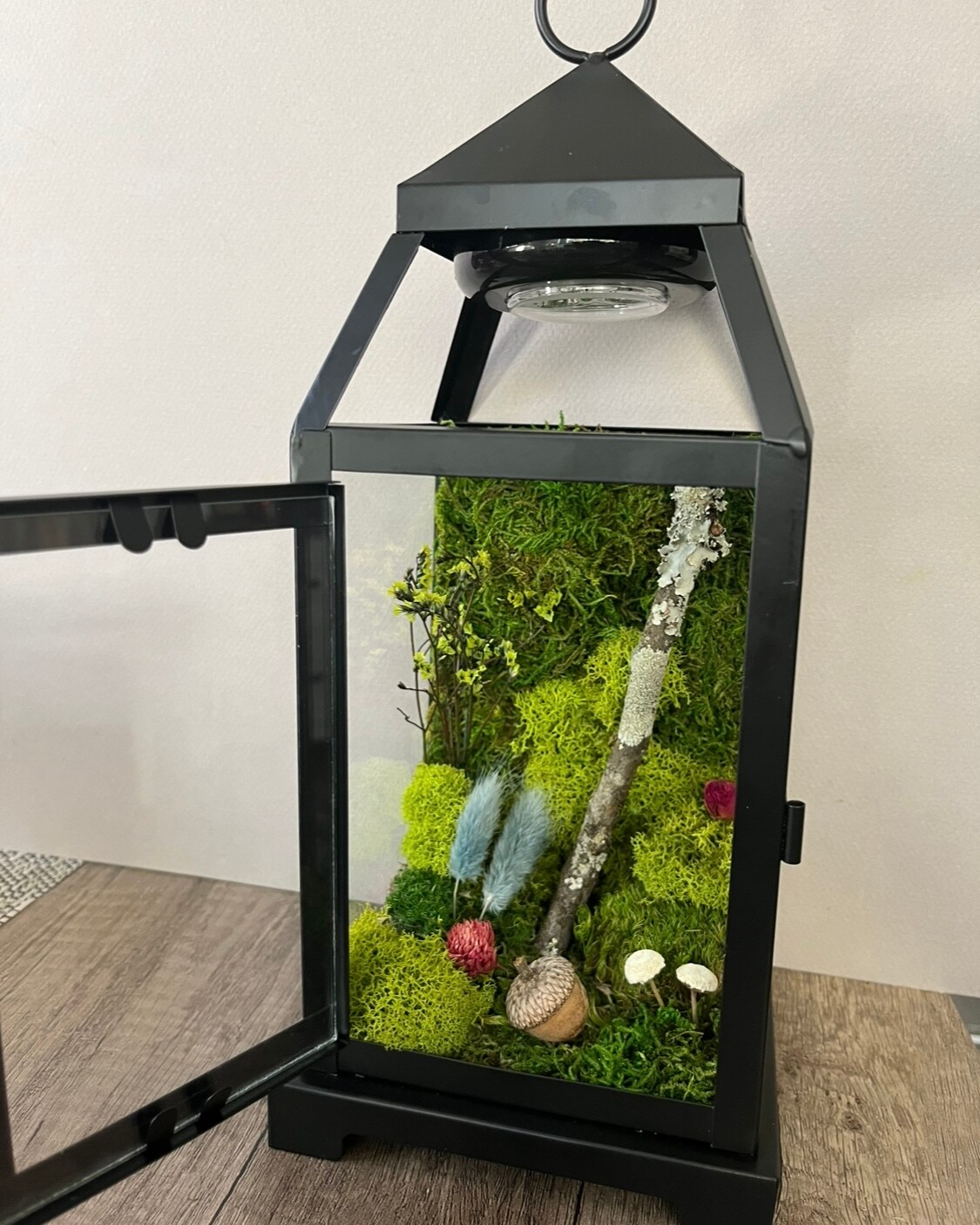 Personalized Moss Terrarium Lantern With LED Light, Moss
