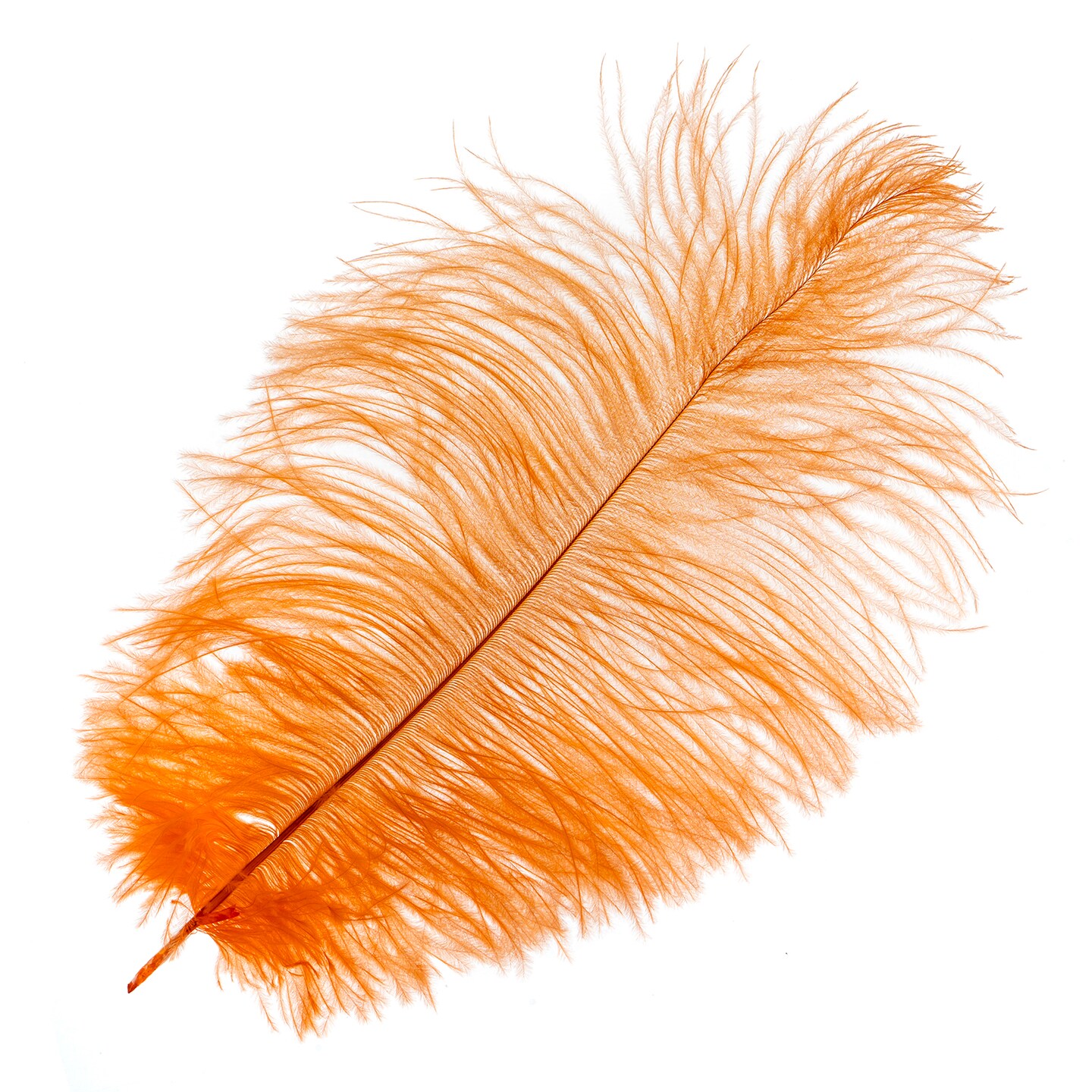 John Bead 11-13in Ostrich Drab Feathers