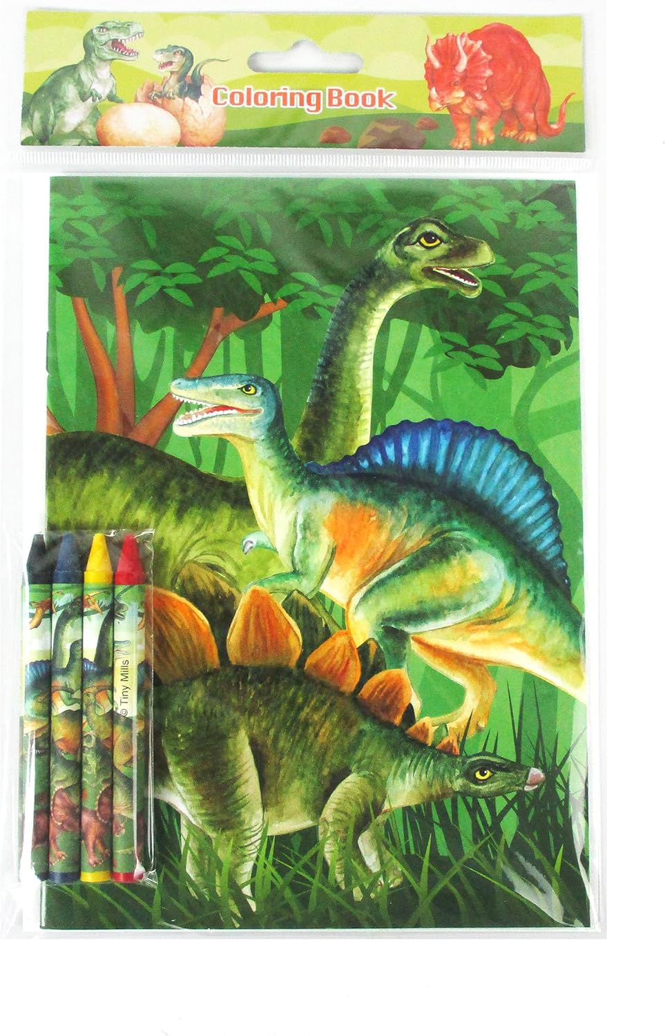 TINYMILLS Jurassic Dinosaur Coloring Book Set, 12 Books, 48 Crayons, Kids Activity Birthday Party Favors