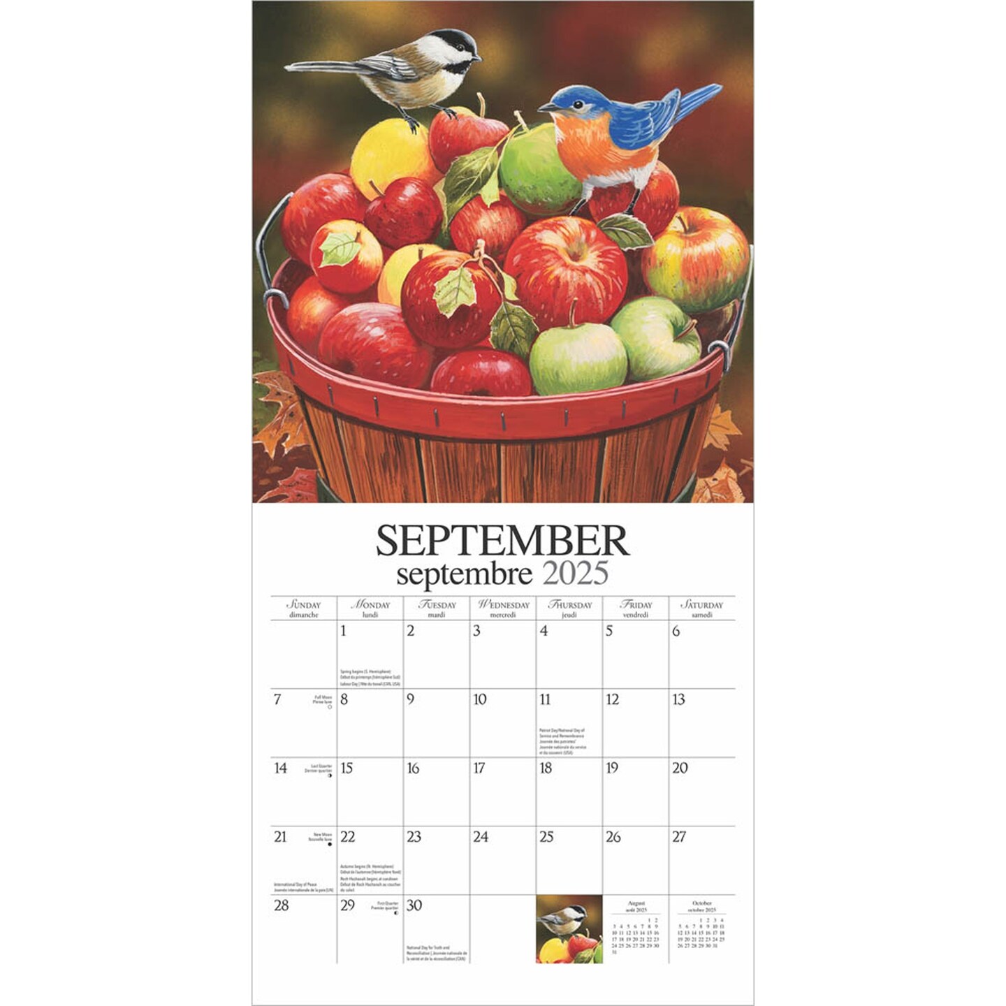 Feathered Friends | Amis a Plumes | 2025 12 x 24 Inch Monthly Square Wall Calendar | English/French Bilingual | Featuring the Artwork of William Vanderdasson | Hopper Studios | Wildlife Animals Birds