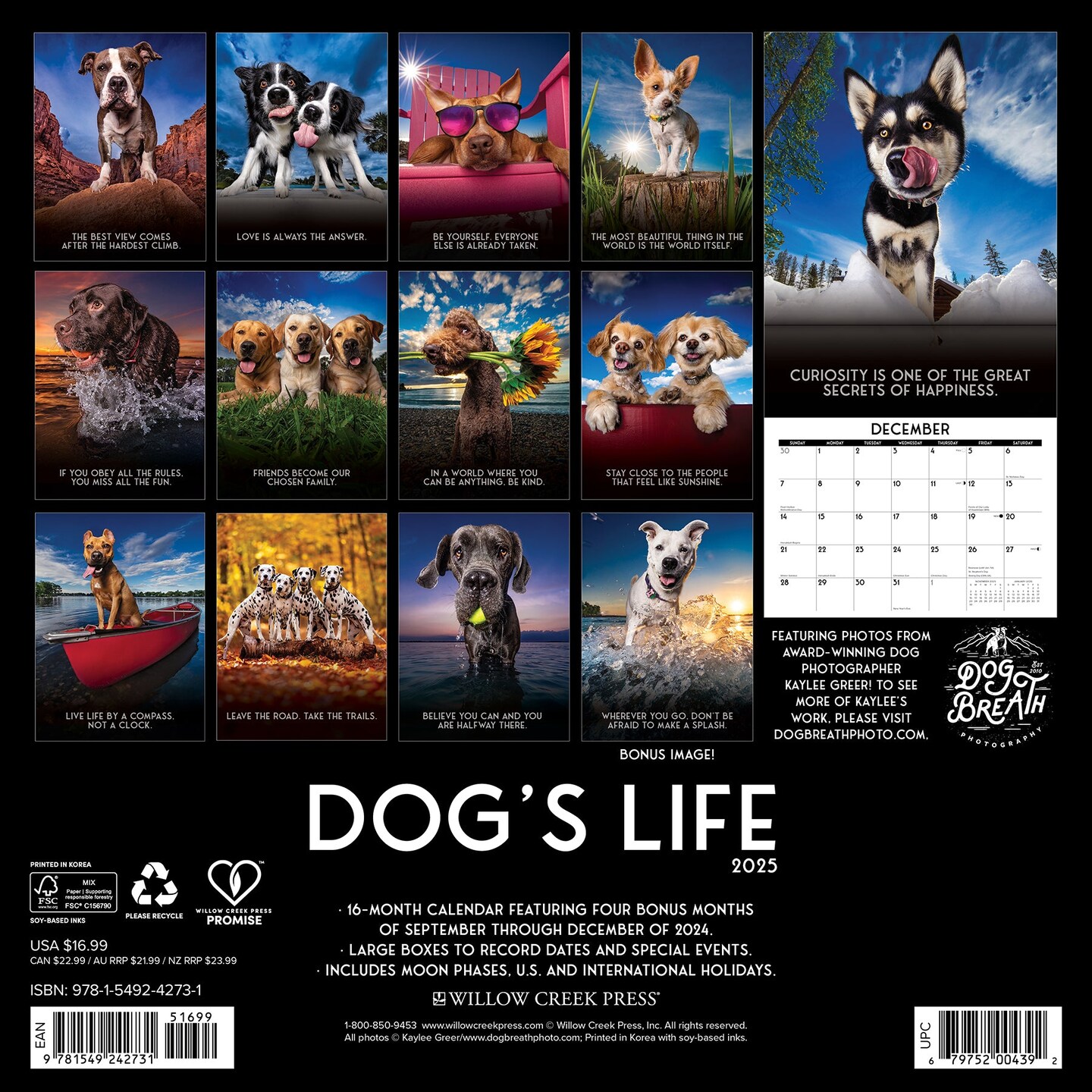 Dog&#x27;s Life 2025 Wall Calendar