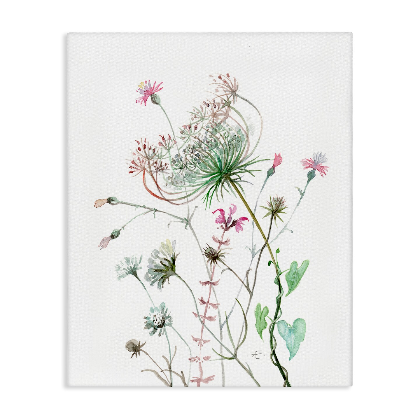Stupell Industries Spring Meadow Florals Blooming Canvas Wall Art