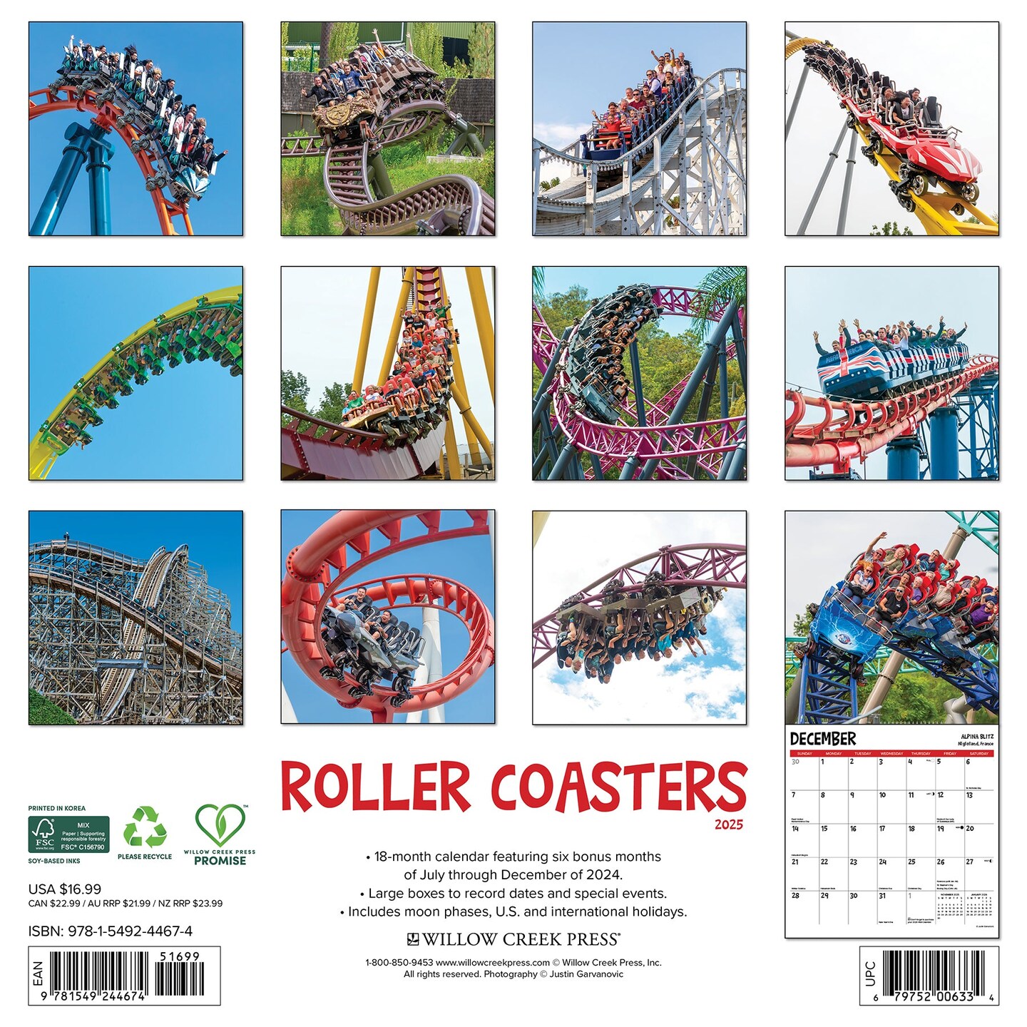 Roller Coasters 2025 Wall Calendar