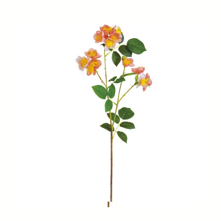 26&#x22; Wild Cottage Garden Rose Spray | Coral Faux Floral Stem