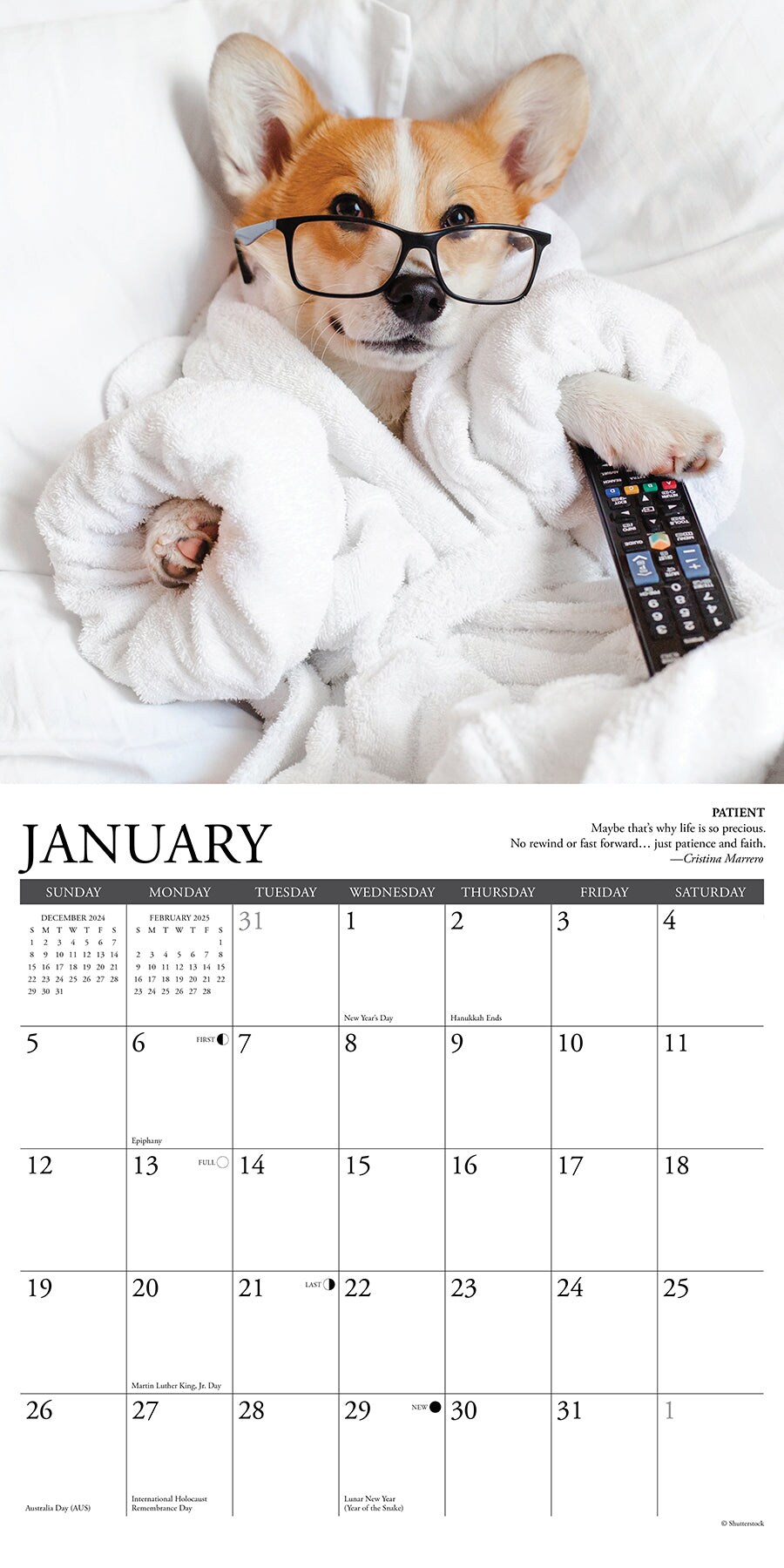 Corgi Rules 2025 Wall Calendar