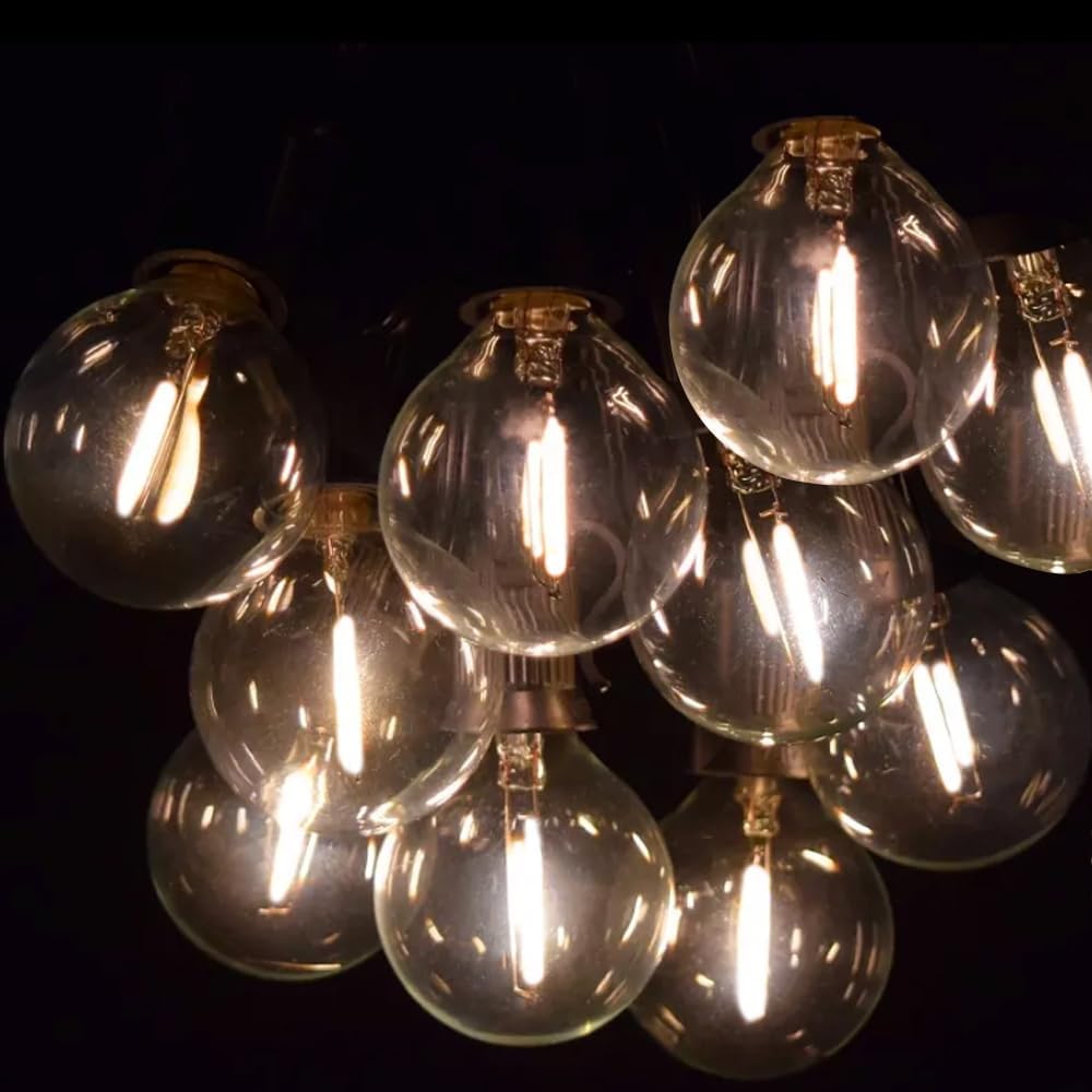 String Lights, LED 25Ft G40 Globe String Lights with Bulbs-UL Listd for Indoor/Outdoor Commercial Decor