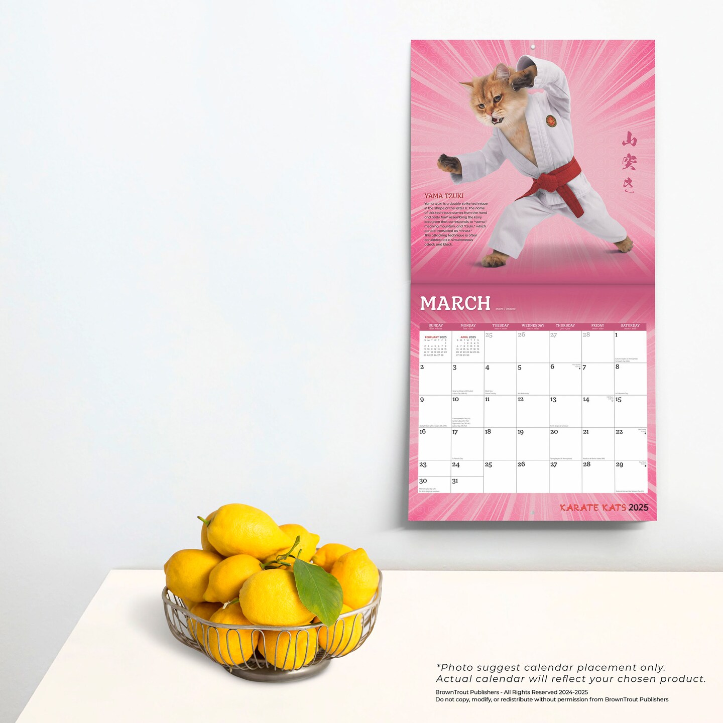 Karate Cats OFFICIAL | 2025 12 x 24 Inch Monthly Square Wall Calendar | Plastic-Free | BrownTrout | Pets Funny Animals Feline