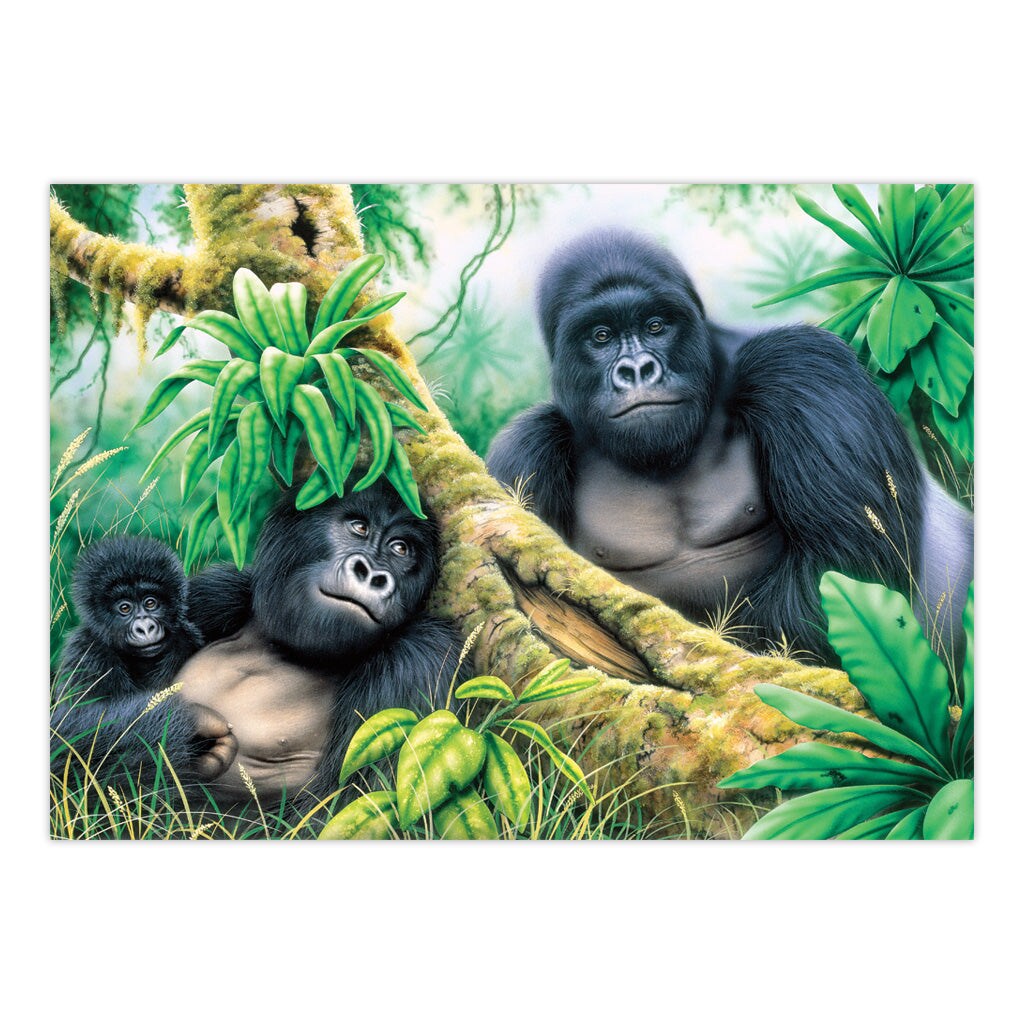 PJL46 | Painting by numbers&#x2122; 13pc 11.25&#x22; x 15.375&#x22; Mountain Gorillas Painting Project