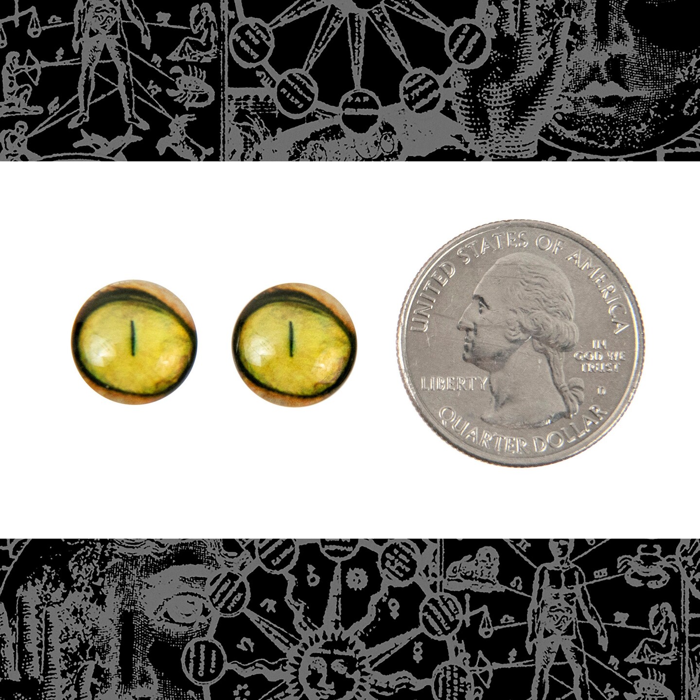 12mm Round Yellow Cat Eye Cabochons - Set of Two - CAB47
