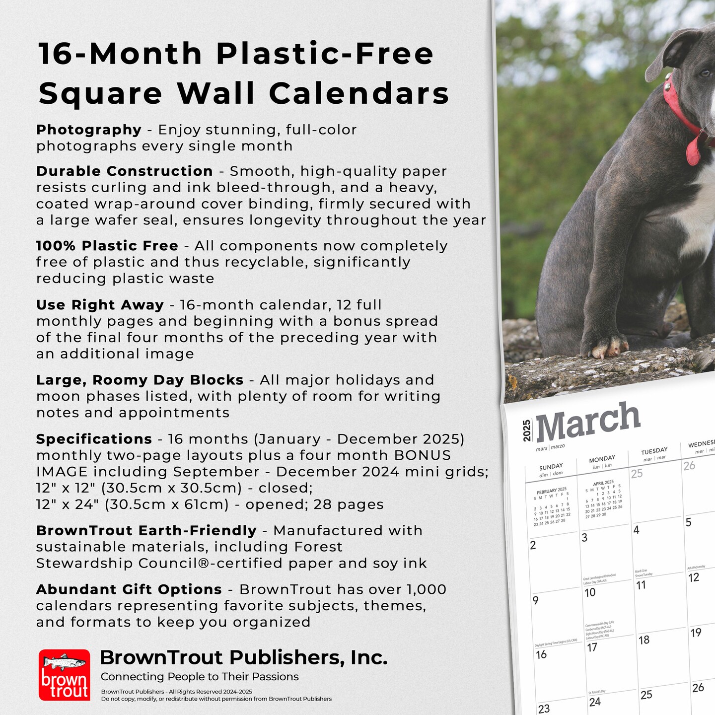 Staffordshire Bull Terriers Puppies | 2025 12 x 24 Inch Monthly Square Wall Calendar | Plastic-Free | BrownTrout | Staffies Dog Breeds