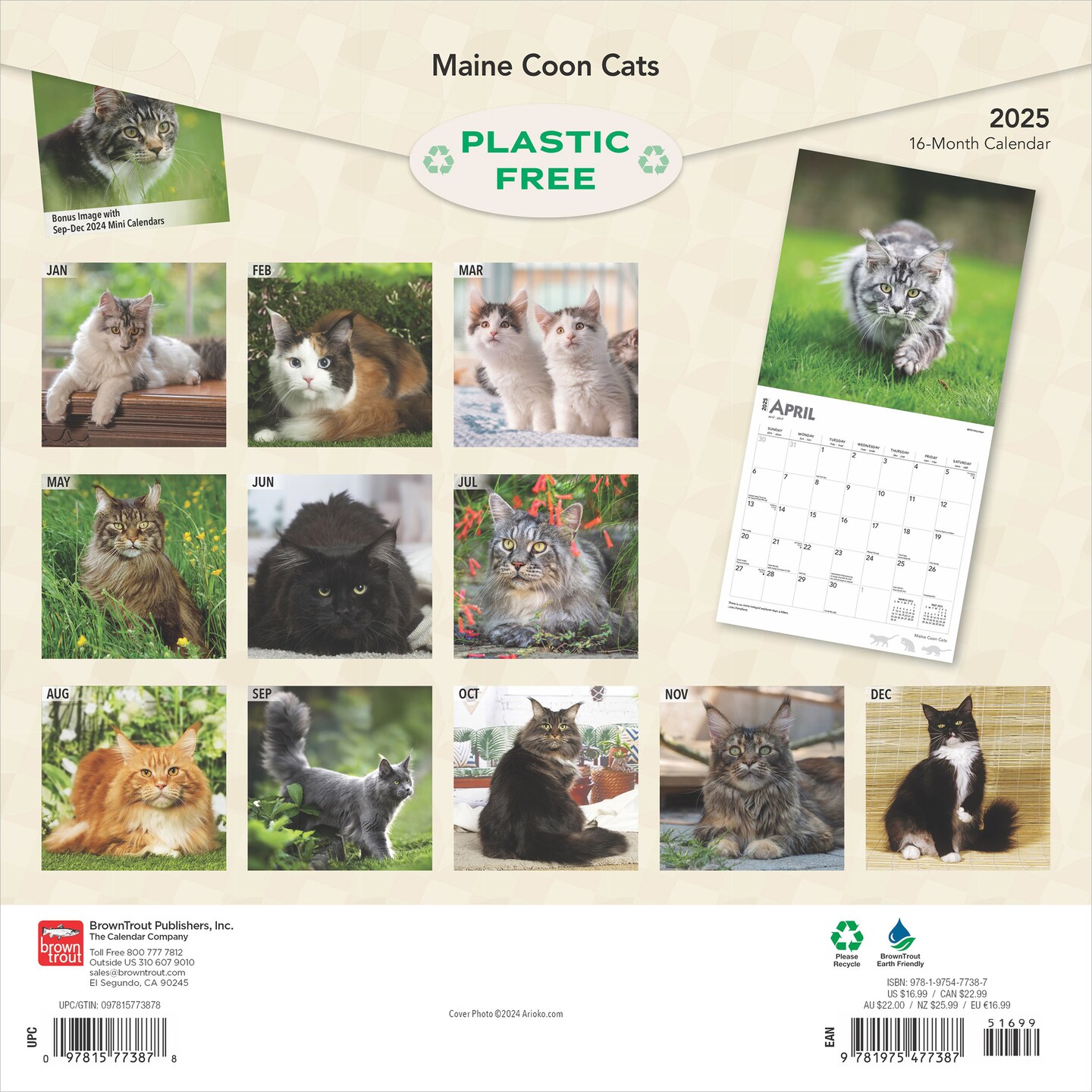 Maine Coon Cats | 2025 12 x 24 Inch Monthly Square Wall Calendar | Plastic-Free | BrownTrout | Animals Feline Kittens