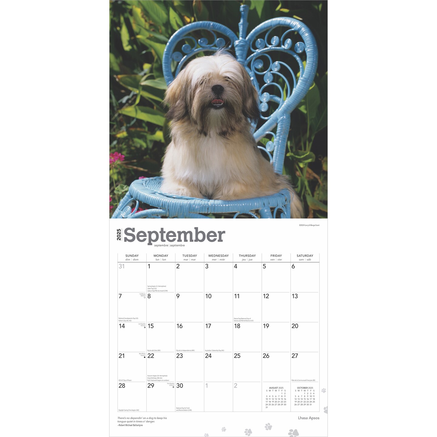 Lhasa Apsos | 2025 12 x 24 Inch Monthly Square Wall Calendar | Plastic-Free | BrownTrout | Animals Dog Breeds