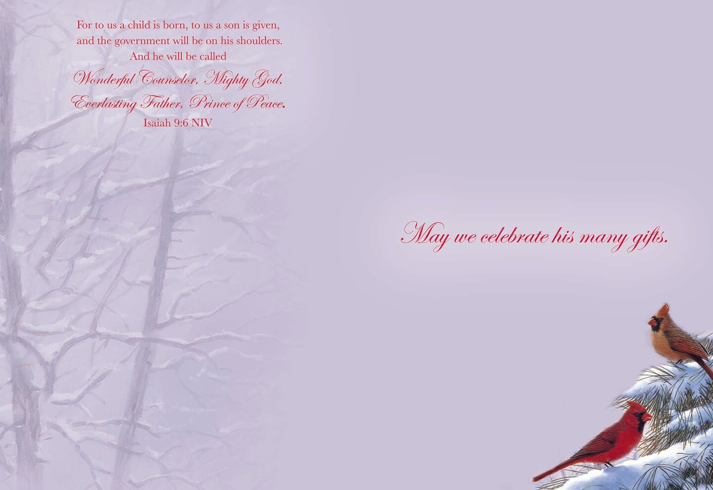 Large Boxed Christmas Card Assortment- Wonder and Joy - 24 cards and envelopes