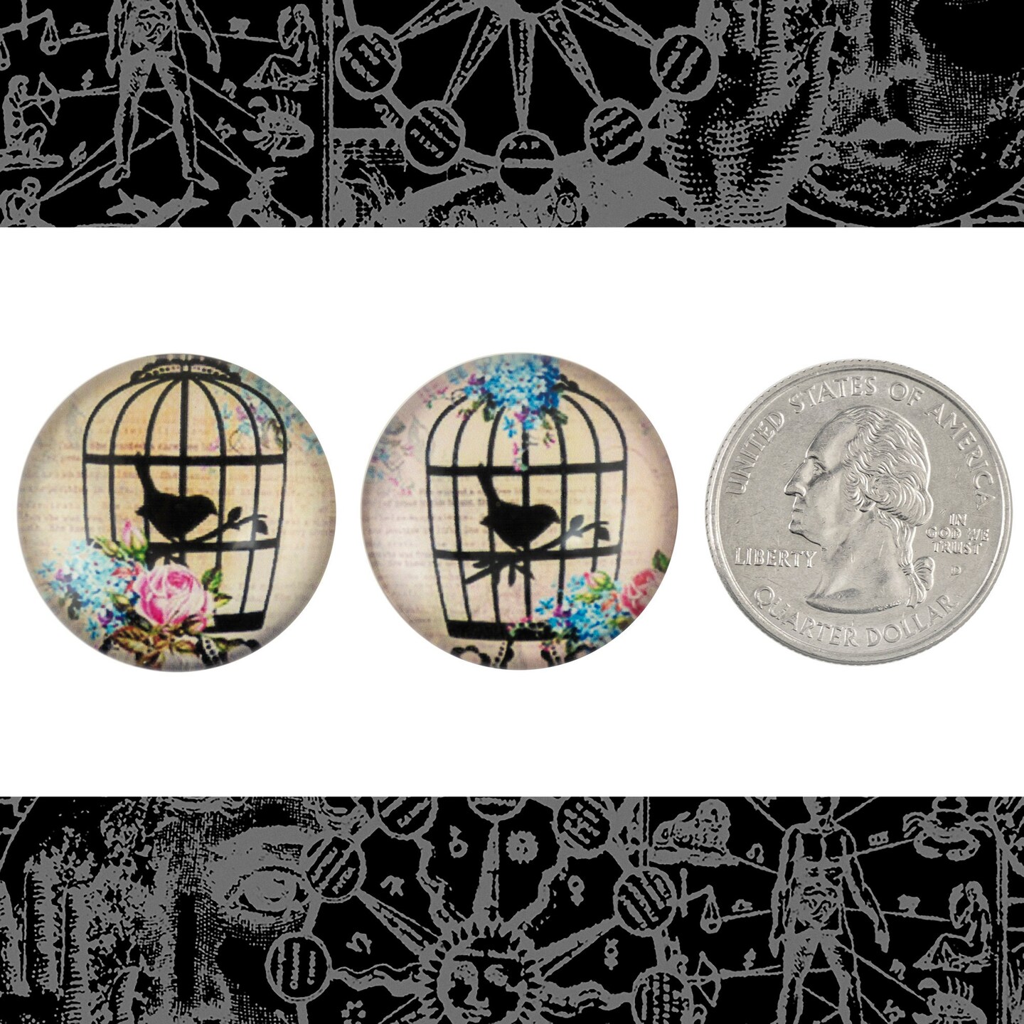25mm Round One Bird in Ornate Bird Cage with Blue and Pink Flowers Cabochons Set of Two - CAB71