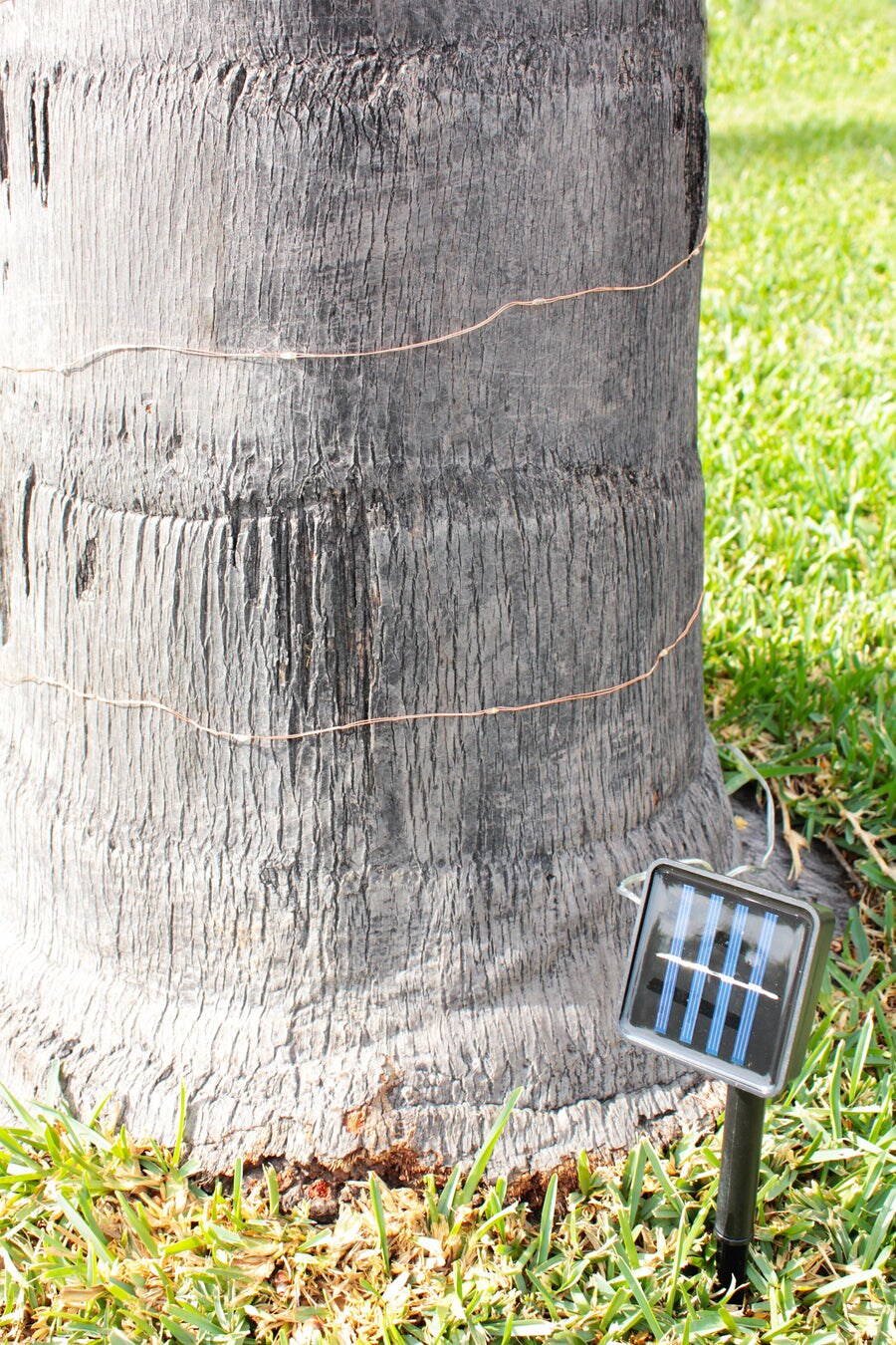 Energy-Saving Solar Fairy Lights, 200 LEDs on Copper Wire