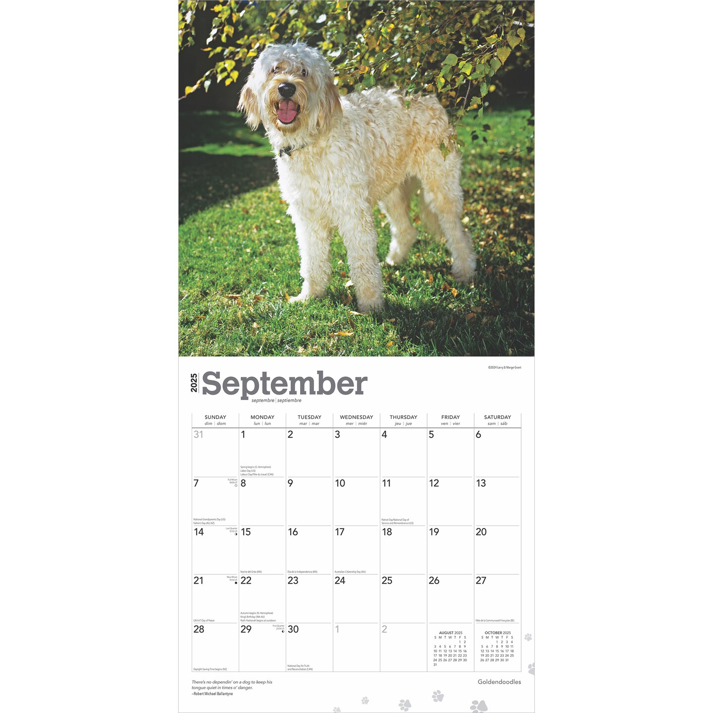Goldendoodles | 2025 12 x 24 Inch Monthly Square Wall Calendar | Plastic-Free | BrownTrout | Animals Mixed Dog Breeds