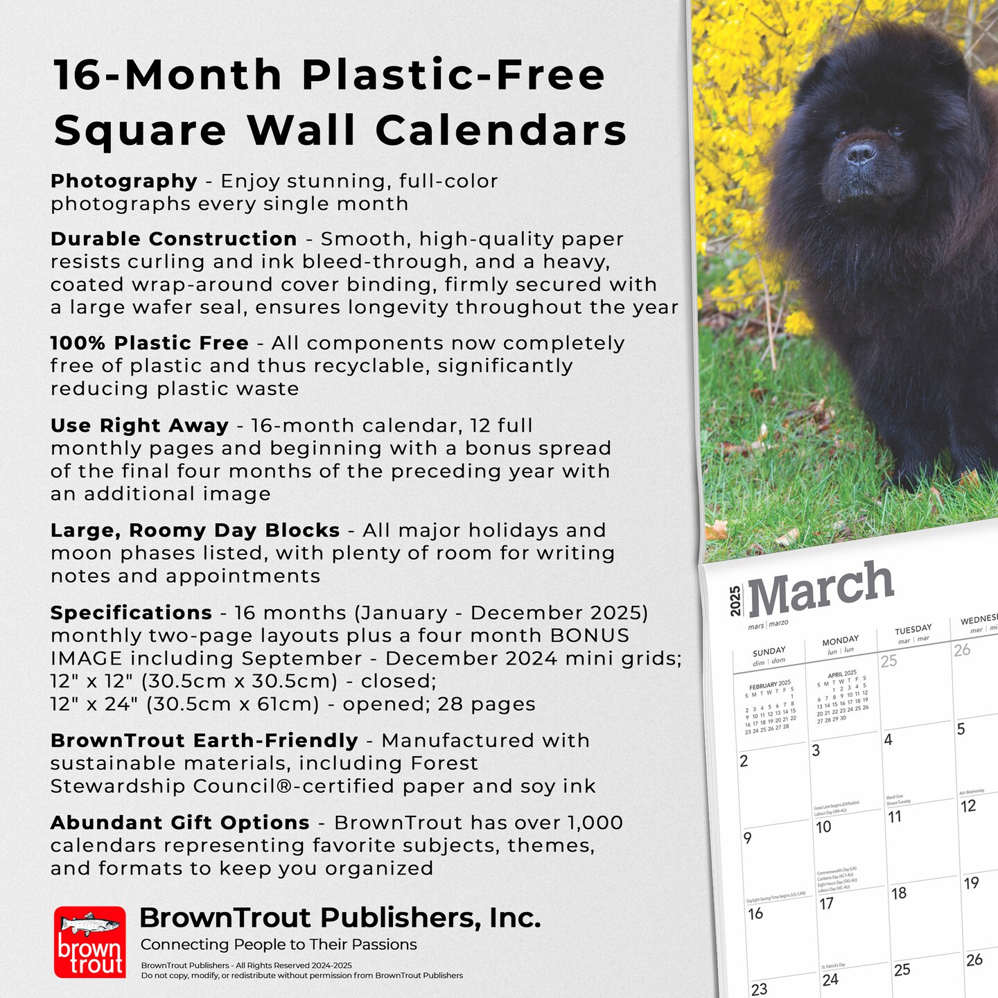 Chow Chows | 2025 12 x 24 Inch Monthly Square Wall Calendar | Plastic-Free | BrownTrout | Animals Dog Breeds