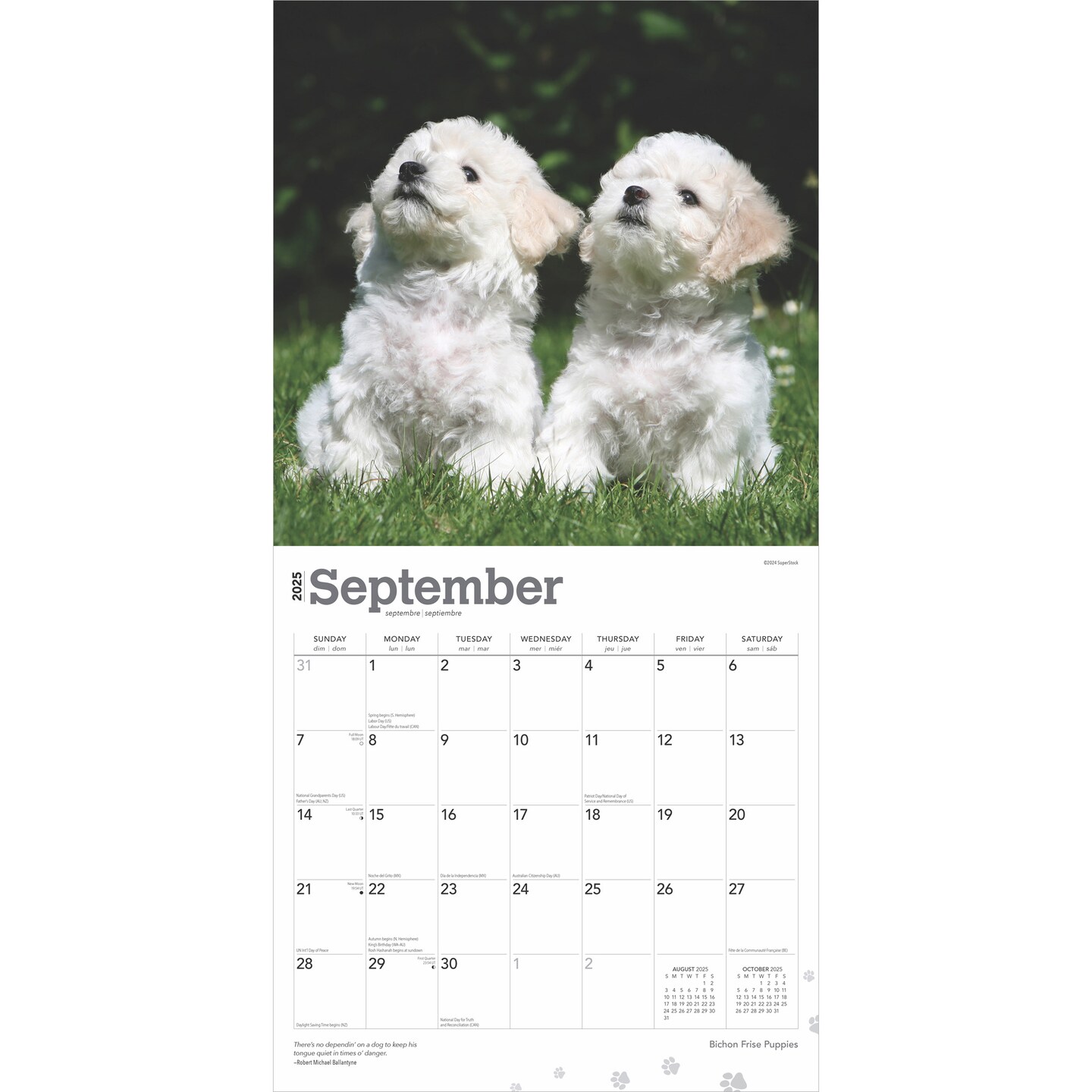 Bichon Frise Puppies | 2025 12 x 24 Inch Monthly Square Wall Calendar | Plastic-Free | BrownTrout | Animals Dog Breeds Puppy