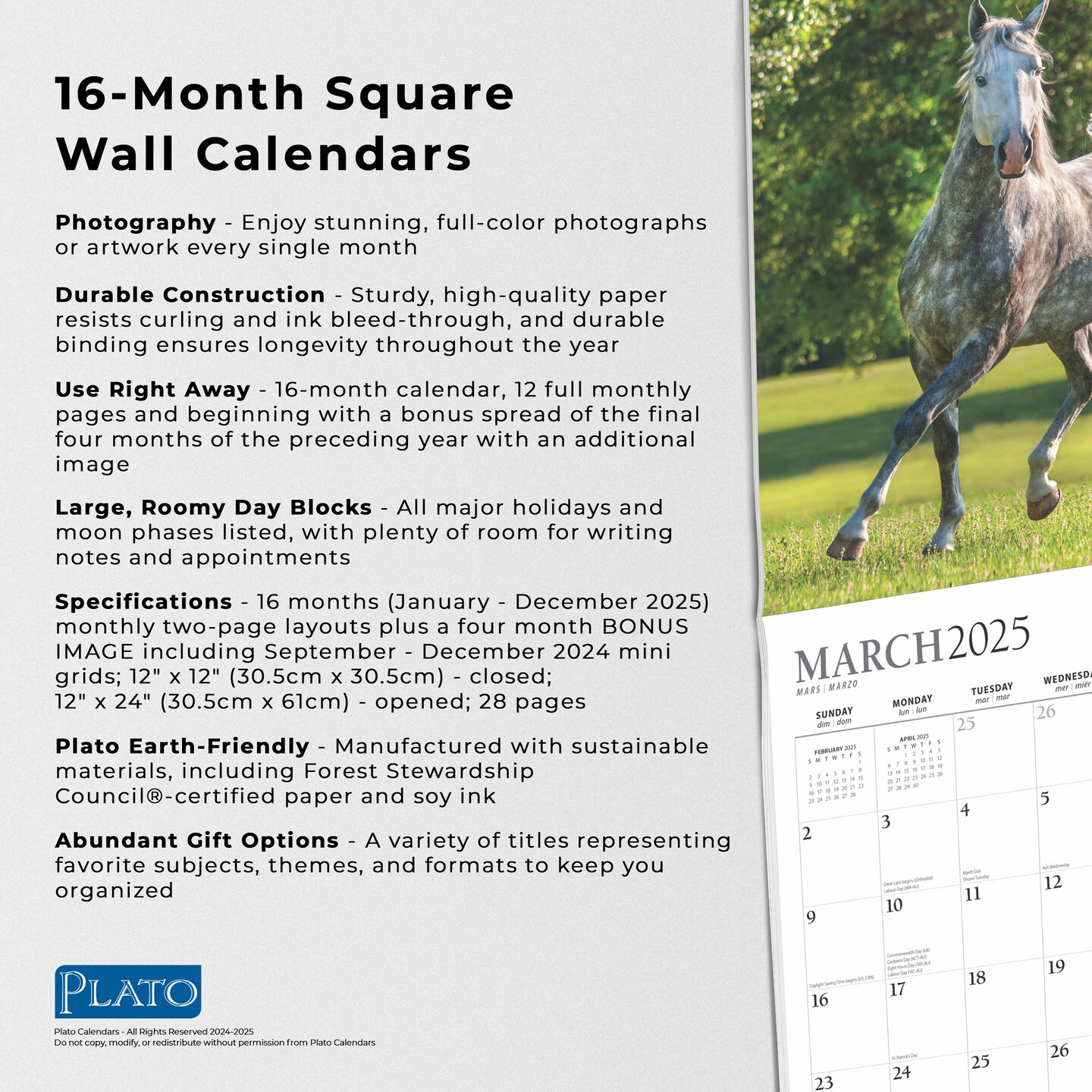 Magnificent Horses | 2025 12 x 24 Inch Monthly Square Wall Calendar | Foil Stamped Cover | Plato | Animals Horses Equestrian