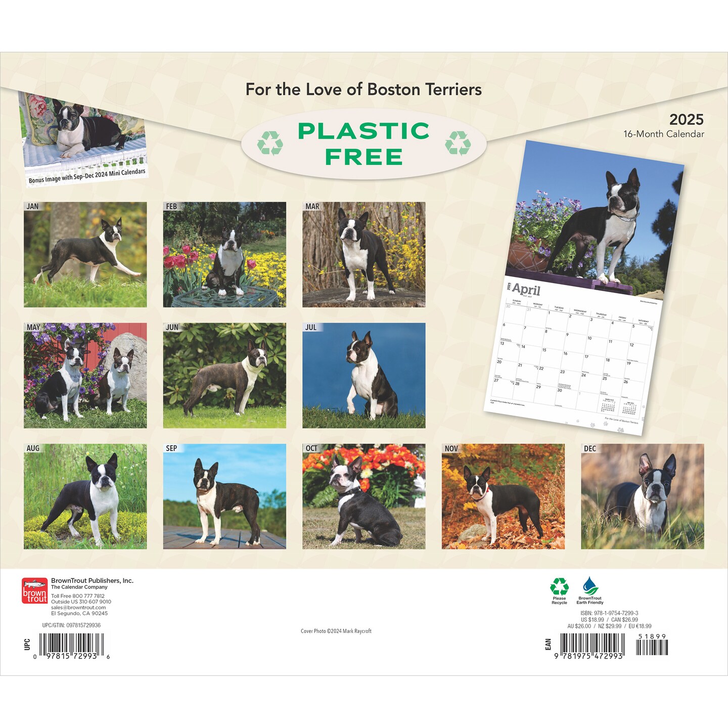 For the Love of Boston Terriers | 2025 14 x 24 Inch Monthly Deluxe Wall Calendar | Foil Stamped Cover | Plastic-Free | BrownTrout | Animal Dog Breeds