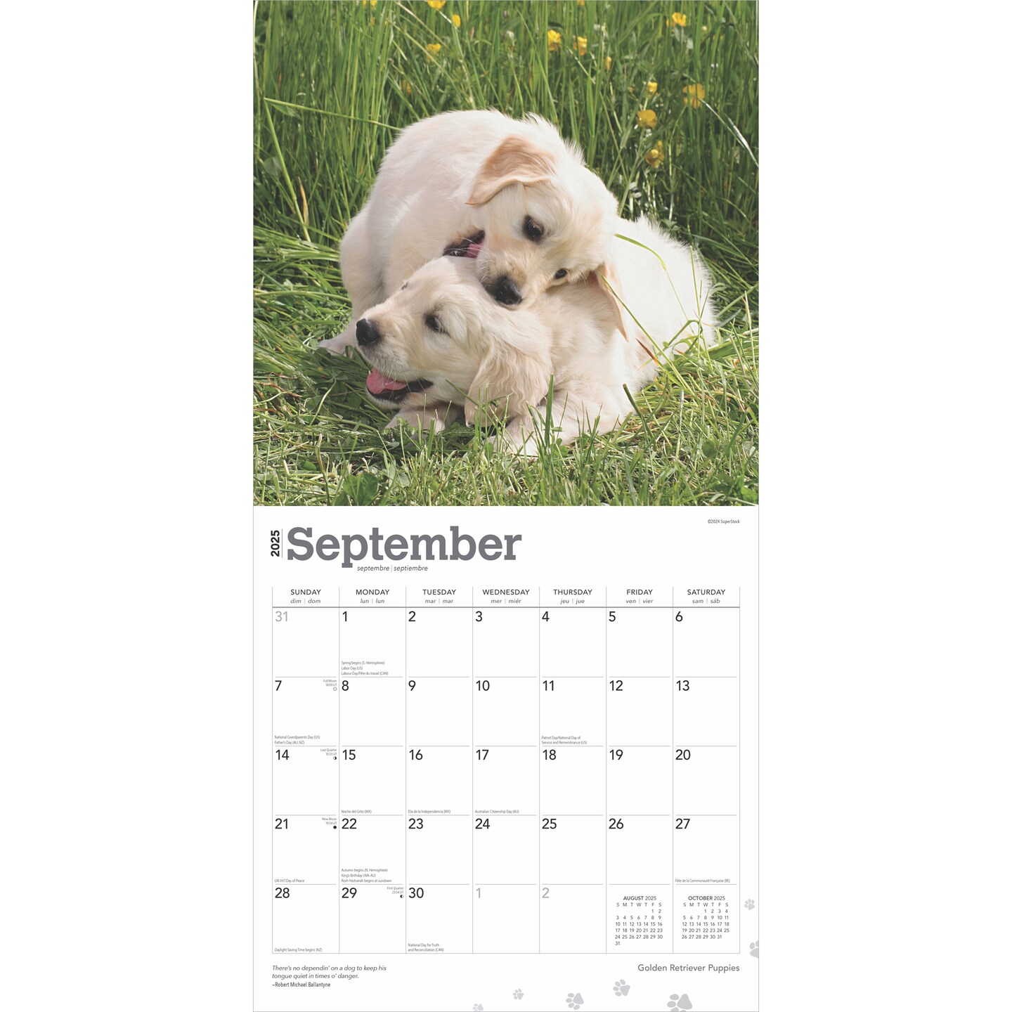 Golden Retriever Puppies | 2025 12 x 24 Inch Monthly Square Wall Calendar | Plastic-Free | BrownTrout | Animals Dog Breeds Puppy
