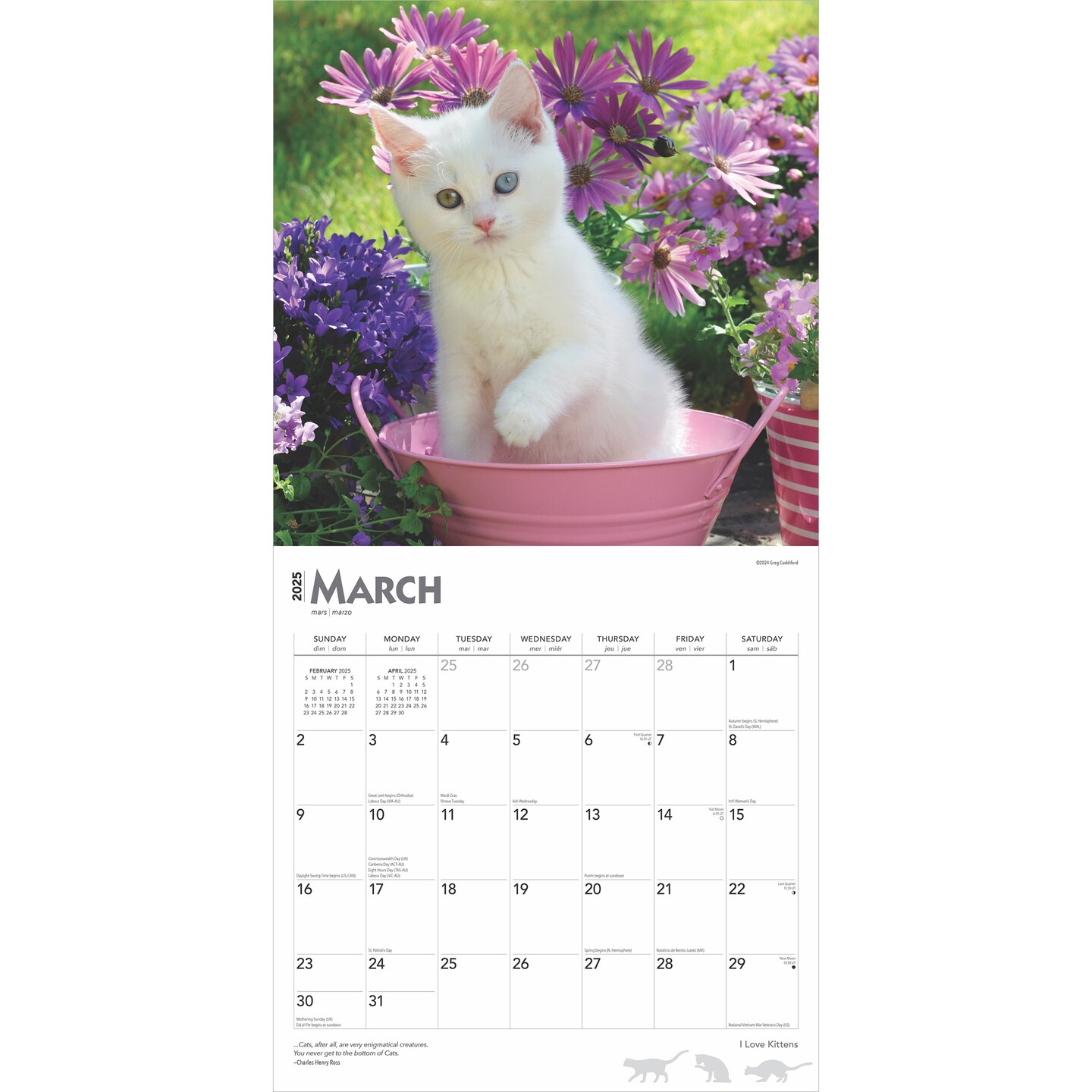 I Love Kittens | 2025 12 x 24 Inch Monthly Square Wall Calendar | Plastic-Free | BrownTrout | Animals Cats Feline