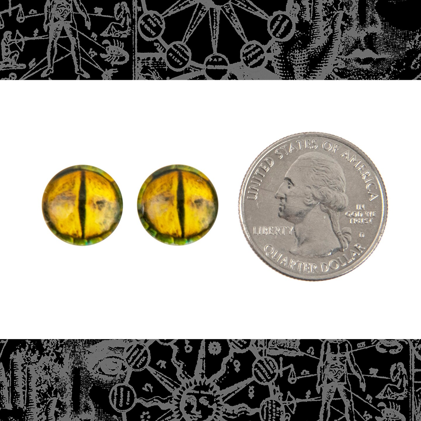 12mm Round Golden Glass Snake Eye Cabochons - Set of Two - CAB40