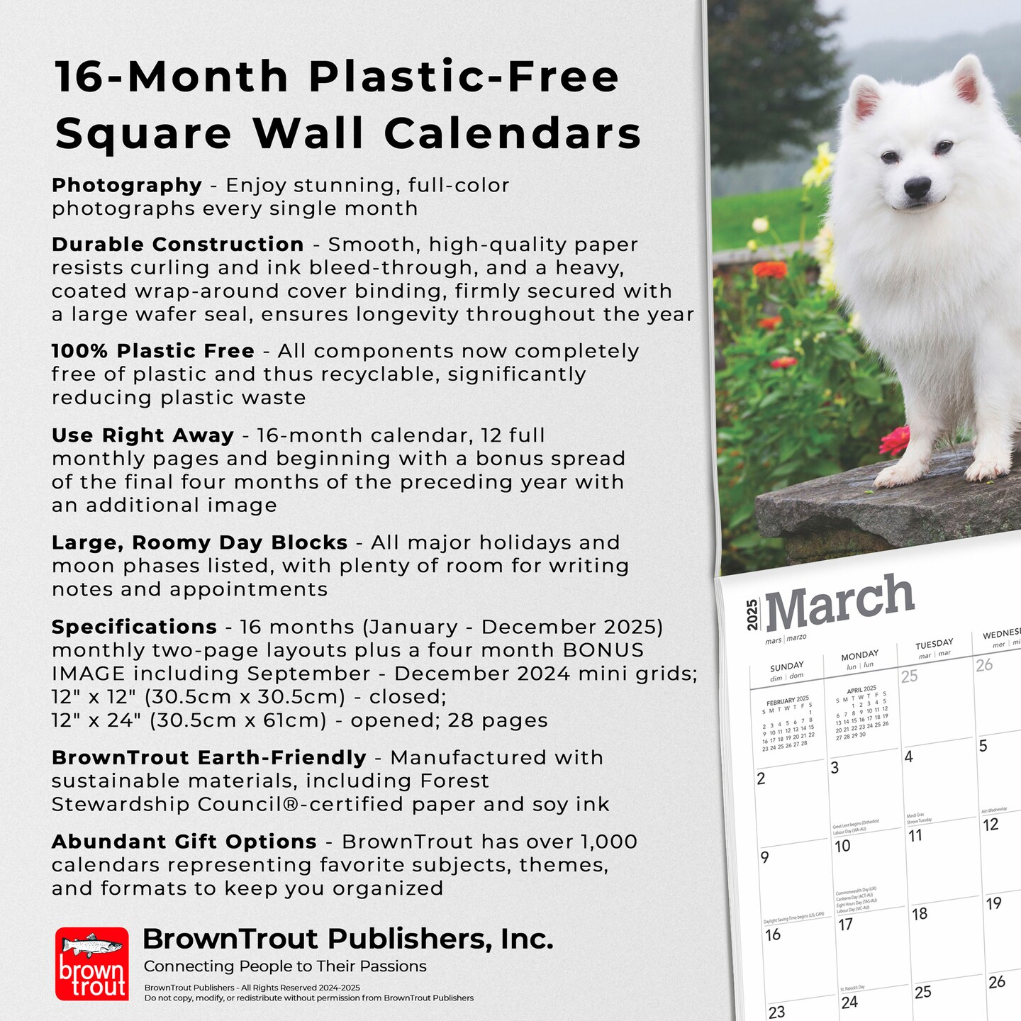 American Eskimo Dogs | 2025 12 x 24 Inch Monthly Square Wall Calendar | Plastic-Free | BrownTrout | Animals Dog Breeds
