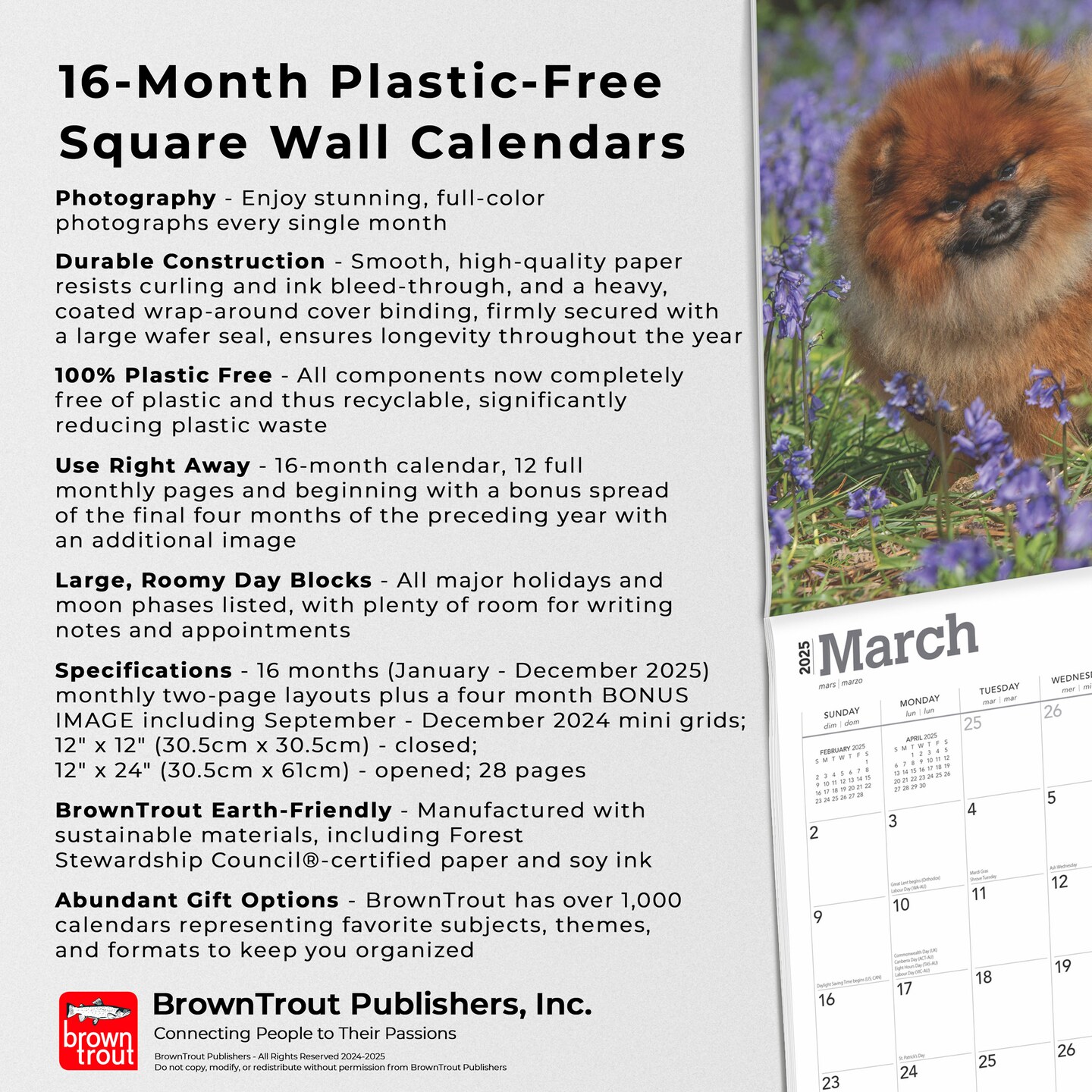 Pomeranians | 2025 12 x 24 Inch Monthly Square Wall Calendar | Plastic-Free | BrownTrout | Animals Small Dog Breeds