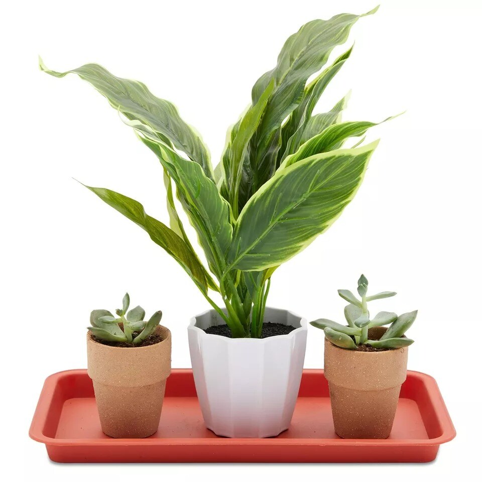 8 Pk Plastic Plant Drip Trays, Red Saucers for Pots, Outdoors, Indoors, 6.5x12&#x22;