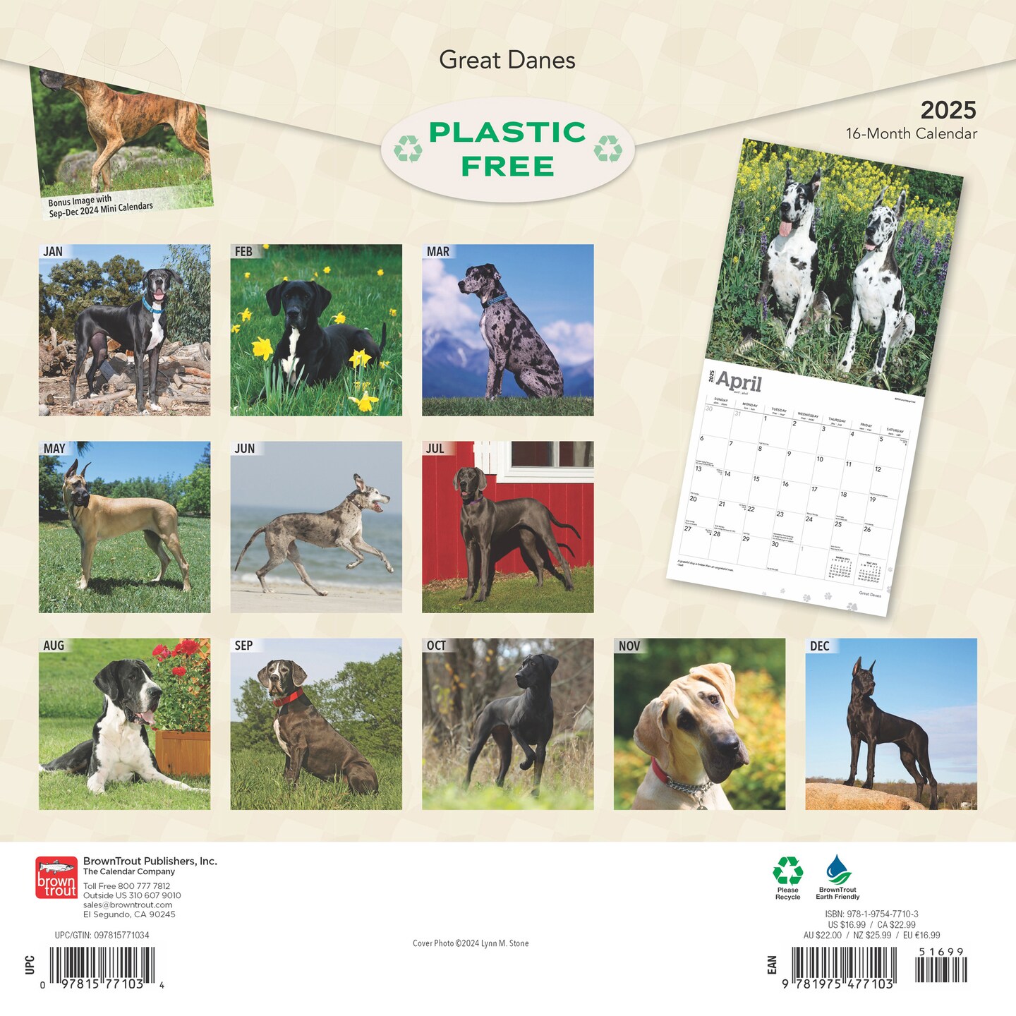 Great Danes | 2025 12 x 24 Inch Monthly Square Wall Calendar | Plastic-Free | BrownTrout | Animals Dog Breeds