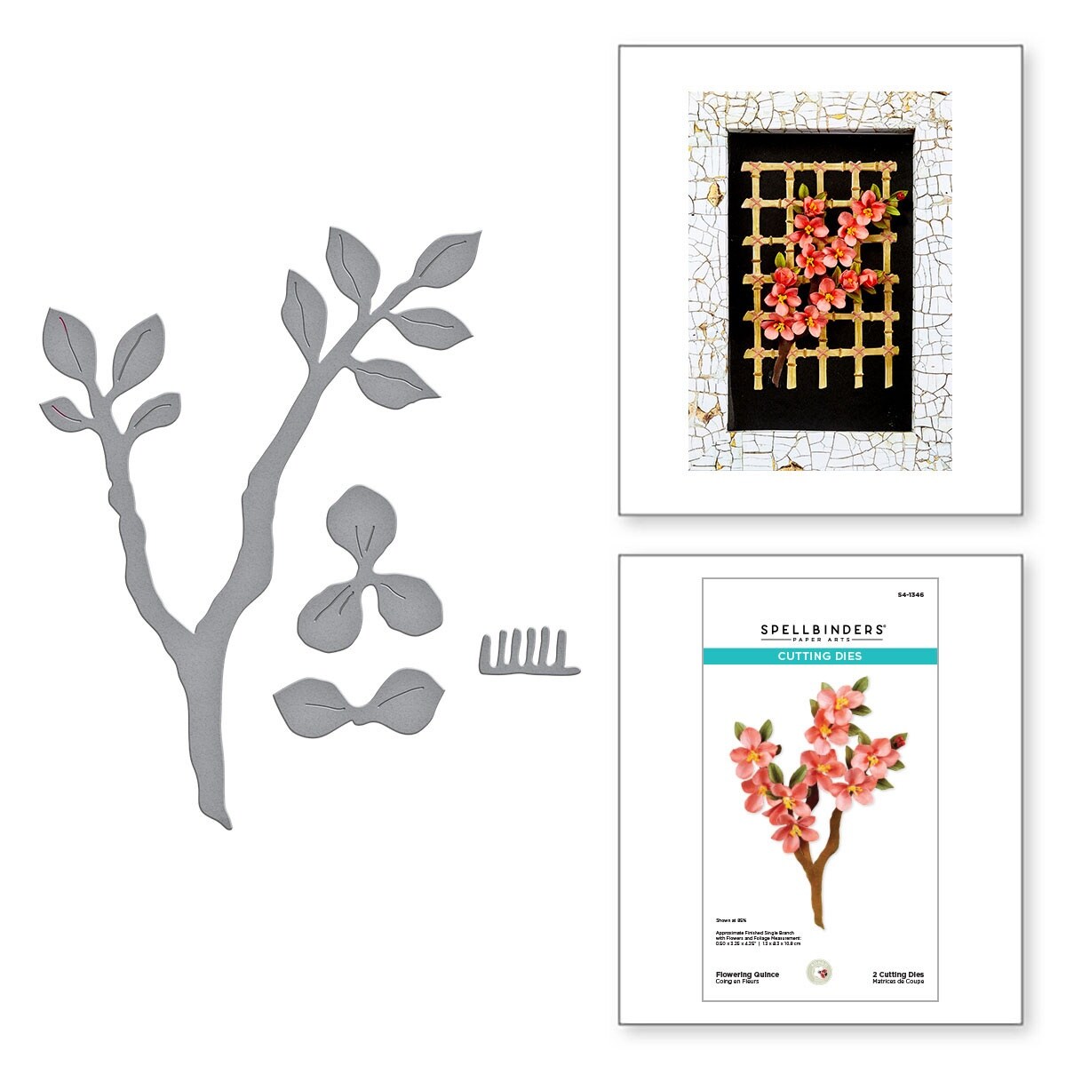 Spellbinders Etched Dies By Susan Tierney-Cockburn-Flowering Quince