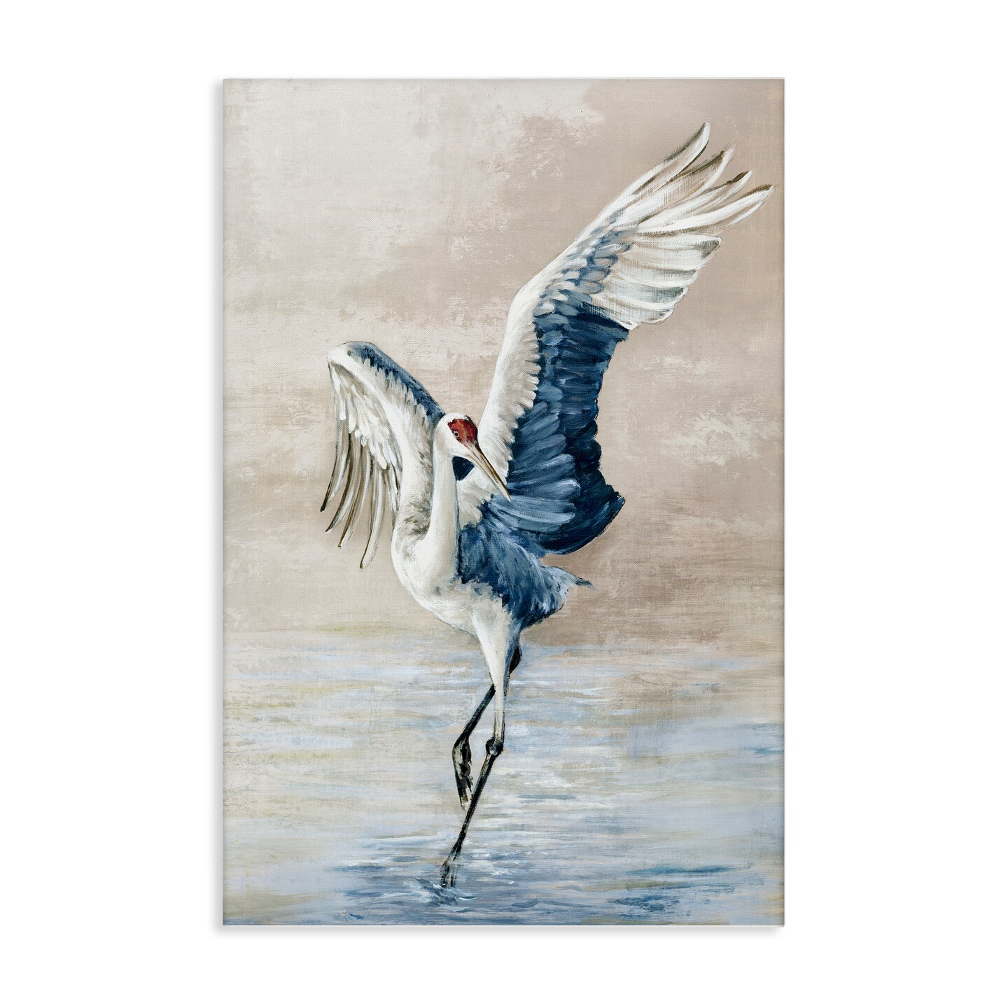 Stupell Industries Dancing Crane on Shore Canvas Wall Art Design by Eli Jones