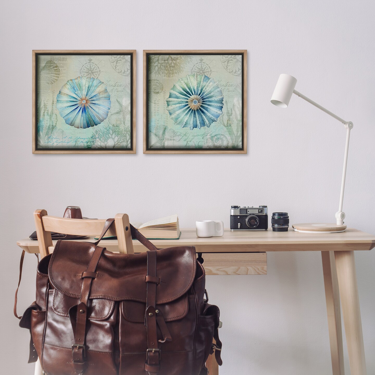 Stupell Industries Vintage Blue Sea Urchins 2pc Floater Framed Canvas Wall Art Set Design by Andrea Haase 