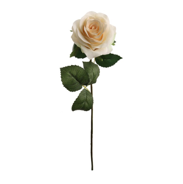 20&#x22; Open Rose Stem - 12 PACK