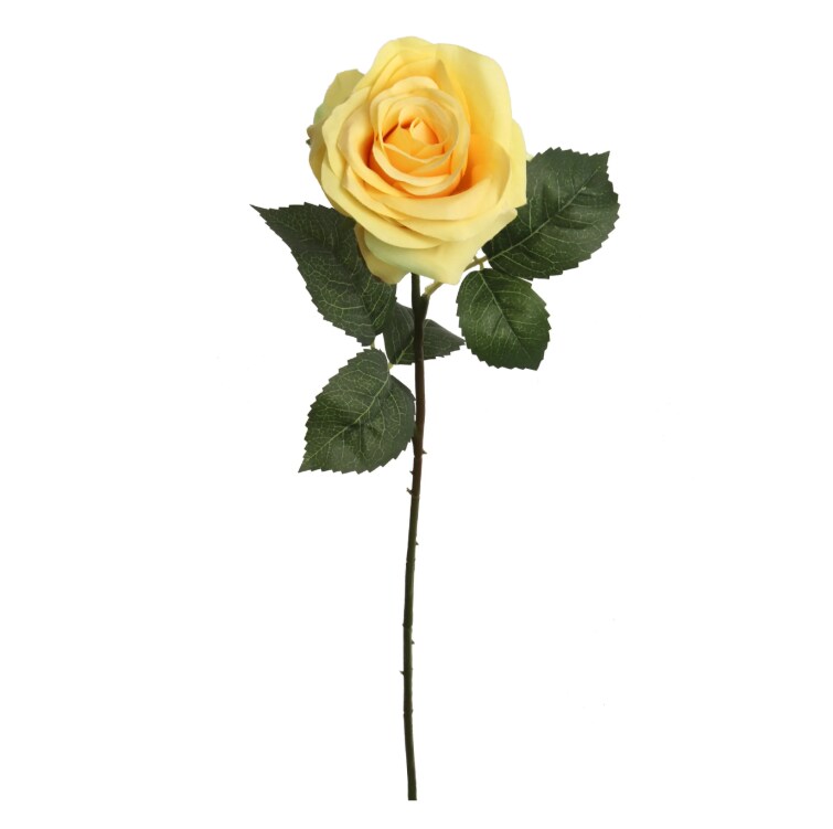 20&#x22; Open Rose Stem - 12 PACK